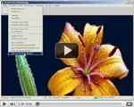 Business Management and Accounting Software for Petrol Pumps. Modules : Pumps, Parties, Inventory, Transactions, Payroll, Accounts & Utilities. Free Trial Download.
