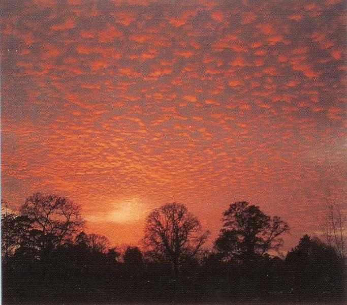 Cirrocumulus Clouds, Clouds Cirrus, Altocumulus Clouds, Mamma Cloud 2, CumuloNimbus Clouds, Cirrostratus Clouds, Nacreous Clouds, Cloud Street, Nacreous Clouds 2, Clouds, Altocumulusstratiformis Clouds, Arcus Cloud, Clouds Cumulus, Cumulonimbusincus with Mamma, Cirrostratus Clouds 2, Layer of Cirrostratus Clouds, Halo Cloud 2, Cirrocumulus Clouds 2, Stratus Clouds 2, Jetstream Clouds 2, Cirrus Cloud Shadows on Neptune, Fallstreak Cloud, Watersprout Cloud, Altostratus Clouds 2, Cumulus Clouds, Winter Time Shower Clouds, Subsun Cloud, Nimbostratus Clouds, Tuba Watersprout Cloud, Cumulonimbus Clouds Decaying, Cirriform Clouds, Massive Cumuliform Clouds, Fogbow Cloud, Wave Clouds 2, Multilevel Clouds, Altostratus Clouds, Trail Clouds 2, Banner Cloud, Clouds Altostratus, Cumulonimbus and Nimbostratus Clouds, Incus Clouds, Trail Clouds, Stratocumulus Clouds2, Clouds Cirrocumulus, Clouds Altocumulus, Cumulus Clouds 3, Stratocumulus Clouds, Virga Clouds, Clouds Cirrostratus, Sun Pillar Cloud, Lightening Stroke Across Thunderclouds, Clouds Stratocumulus, Clouds Stratus, Stratus Clouds, Altocumulus Clouds 3, Gust Front, Cumulonimbus Cloud Massive, Parhelic Circle Cloud, Altocumulus Clouds 2, Cloud to Ground Lightening Stroke, Clouds Nimbostratus, Mamma Cloud, Cumulus Clouds 2, Altocumulusradiatus Clouds, Clouds Shadow, Sub Star, Altocumulus Clouds 4, Jetstream Clouds, Pileus Clouds, Wave Clouds, Clouds on Earth, Cirrus Cloud, Altocumulusperlucidus Clouds, Altocumulusundulatus Cloud, Precipitatio Clouds, Cumulonimus well developed, Cirrus Clouds 2, Tuba Cloud, 