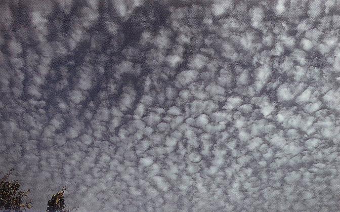 Nacreous Clouds 2, Altocumulusundulatus Cloud, Cumulus Clouds 3, Watersprout Cloud, Winter Time Shower Clouds, CumuloNimbus Clouds, Cirrus Clouds 2, Cirriform Clouds, Trail Clouds, Precipitatio Clouds, Altocumulus Clouds 3, Clouds on Earth, Altocumulusperlucidus Clouds, Fallstreak Cloud, Wave Clouds 2, Cirrostratus Clouds, Tuba Cloud, Cumulus Clouds 2, Cloud to Ground Lightening Stroke, Clouds Cumulus, Clouds Altostratus, Pileus Clouds, Mamma Cloud, Altocumulusradiatus Clouds, Virga Clouds, Sun Pillar Cloud, Clouds Nimbostratus, Halo Cloud 2, Banner Cloud, Massive Cumuliform Clouds, Gust Front, Trail Clouds 2, Wave Clouds, Nacreous Clouds, Cumulonimbusincus with Mamma, Cumulonimbus Clouds Decaying, Altocumulus Clouds 4, Jetstream Clouds, Cirrocumulus Clouds 2, Stratus Clouds, Clouds Shadow, Clouds Cirrocumulus, Stratus Clouds 2, Clouds Cirrostratus, Clouds, Clouds Stratus, Clouds Stratocumulus, Cumulonimus well developed, Parhelic Circle Cloud, Lightening Stroke Across Thunderclouds, Stratocumulus Clouds, Multilevel Clouds, Nimbostratus Clouds, Jetstream Clouds 2, Cirrocumulus Clouds, Cumulus Clouds, Subsun Cloud, Cumulonimbus and Nimbostratus Clouds, Mamma Cloud 2, Altocumulusstratiformis Clouds, Cirrus Cloud Shadows on Neptune, Clouds Altocumulus, Altocumulus Clouds 2, Altostratus Clouds 2, Fogbow Cloud, Altocumulus Clouds, Arcus Cloud, Clouds Cirrus, Cirrus Cloud, Sub Star, Incus Clouds, Layer of Cirrostratus Clouds, Tuba Watersprout Cloud, Stratocumulus Clouds2, Cloud Street, Cumulonimbus Cloud Massive, Altostratus Clouds, Cirrostratus Clouds 2, 