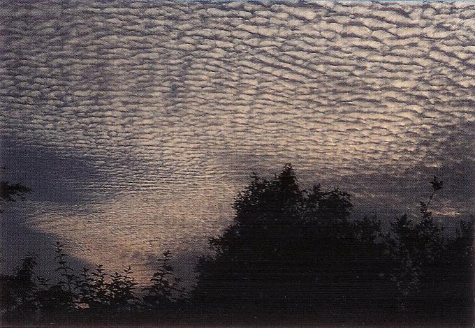 Banner Cloud, Cumulus Clouds 3, Tuba Cloud, Mamma Cloud, Subsun Cloud, Massive Cumuliform Clouds, Cirrus Cloud, Altostratus Clouds 2, Fogbow Cloud, Altocumulus Clouds 4, Cirrocumulus Clouds 2, Tuba Watersprout Cloud, Cumulonimus well developed, Altocumulus Clouds, Cumulonimbus and Nimbostratus Clouds, Jetstream Clouds, Cumulonimbus Cloud Massive, Cumulonimbus Clouds Decaying, CumuloNimbus Clouds, Altocumulus Clouds 2, Stratocumulus Clouds, Cumulonimbusincus with Mamma, Altocumulusperlucidus Clouds, Cirrostratus Clouds 2, Clouds Cirrocumulus, Watersprout Cloud, Cloud to Ground Lightening Stroke, Cloud Street, Stratus Clouds, Sub Star, Wave Clouds 2, Trail Clouds, Altocumulusundulatus Cloud, Jetstream Clouds 2, Virga Clouds, Clouds Cumulus, Clouds Stratus, Stratus Clouds 2, Parhelic Circle Cloud, Clouds on Earth, Clouds Altocumulus, Pileus Clouds, Cirrus Cloud Shadows on Neptune, Cirrostratus Clouds, Fallstreak Cloud, Sun Pillar Cloud, Wave Clouds, Clouds Stratocumulus, Gust Front, Clouds, Clouds Shadow, Nacreous Clouds 2, Clouds Cirrus, Altocumulusstratiformis Clouds, Altocumulusradiatus Clouds, Altocumulus Clouds 3, Mamma Cloud 2, Winter Time Shower Clouds, Clouds Cirrostratus, Cirrocumulus Clouds, Cumulus Clouds, Arcus Cloud, Incus Clouds, Cirrus Clouds 2, Precipitatio Clouds, Cumulus Clouds 2, Clouds Altostratus, Lightening Stroke Across Thunderclouds, Stratocumulus Clouds2, Halo Cloud 2, Multilevel Clouds, Cirriform Clouds, Nimbostratus Clouds, Layer of Cirrostratus Clouds, Clouds Nimbostratus, Altostratus Clouds, Trail Clouds 2, Nacreous Clouds, 