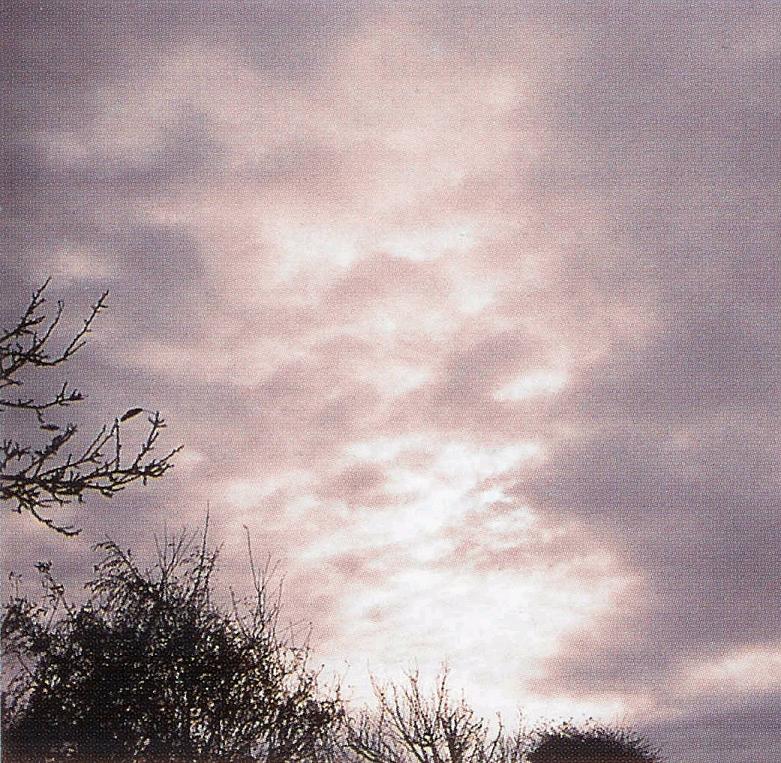 Mamma Cloud, Altocumulusperlucidus Clouds, Winter Time Shower Clouds, Multilevel Clouds, Wave Clouds, Nacreous Clouds 2, Precipitatio Clouds, Virga Clouds, Stratocumulus Clouds2, Watersprout Cloud, Fogbow Cloud, Altostratus Clouds 2, Clouds Cirrus, Cirrus Cloud, Clouds Cirrostratus, Subsun Cloud, Stratus Clouds, Jetstream Clouds, Cumulonimbus Cloud Massive, Parhelic Circle Cloud, Banner Cloud, Stratus Clouds 2, Jetstream Clouds 2, Clouds Cumulus, Clouds Altostratus, Sun Pillar Cloud, Clouds Nimbostratus, Cumulonimbus and Nimbostratus Clouds, Stratocumulus Clouds, Clouds Cirrocumulus, Altocumulus Clouds 4, Cumulonimbus Clouds Decaying, Fallstreak Cloud, Altocumulus Clouds 2, Altostratus Clouds, Altocumulus Clouds 3, Cumulus Clouds 2, Cumulonimus well developed, Cirrus Cloud Shadows on Neptune, Nimbostratus Clouds, Altocumulusundulatus Cloud, Sub Star, Nacreous Clouds, CumuloNimbus Clouds, Gust Front, Altocumulusstratiformis Clouds, Massive Cumuliform Clouds, Clouds Stratus, Clouds on Earth, Cumulonimbusincus with Mamma, Lightening Stroke Across Thunderclouds, Mamma Cloud 2, Cloud Street, Cloud to Ground Lightening Stroke, Layer of Cirrostratus Clouds, Arcus Cloud, Cirrocumulus Clouds, Pileus Clouds, Clouds Shadow, Tuba Cloud, Trail Clouds 2, Wave Clouds 2, Halo Cloud 2, Altocumulus Clouds, Incus Clouds, Cirrostratus Clouds, Cirrostratus Clouds 2, Cumulus Clouds 3, Trail Clouds, Cirriform Clouds, Altocumulusradiatus Clouds, Tuba Watersprout Cloud, Cumulus Clouds, Clouds Altocumulus, Clouds, Clouds Stratocumulus, Cirrus Clouds 2, Cirrocumulus Clouds 2, 