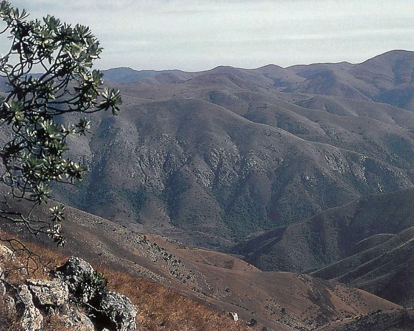 Granite Rock under Microscope, Glacial Remains Greenland, Geology of the Earth, Rock Formation, Rock Formation Watercolour, Barberton Greenstone Belt Africa, Wairarapa Fault New Zealand, Coastal Alaska, Uranium ore autunite, 