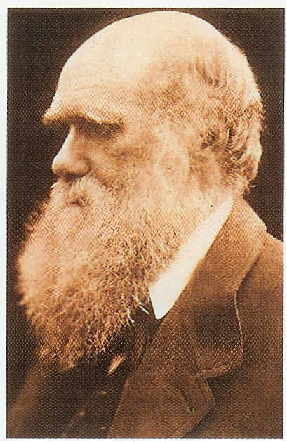 Earth Seen from Space, Apollo 15 on Moon, Charles Darwin, Kitt Peak Arizona USA, Hubble Space Telescope, Internal Construction of Telescope, Space Shuttle Atlantis, Space Ready Astronaut, 15 Century Astronomy, A Geologist on Moon, Voyager Spacecraft, Appollo 12 on Moon, Mariner10, Columbia Space Shuttle Launch 2002, Dome of a Telescope, International Space Station, The Conquering of Space, The man in Space, Geologist on Moon, Death of King Arthur, Voyager 2, Mock Moon, 18 Century Painting of Comet Goddess, Hubble Space Telescope under repair, 15 Century Painting of Halleys Comet, Giotto Space Probe, Ancient Calender, Mir Space Station, Plague by Flies, 