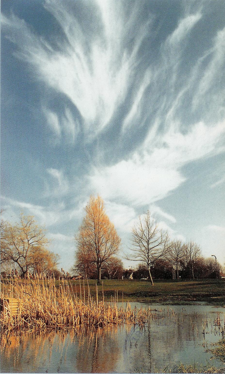 Cirrocumulus Clouds, Cumulonimbus Cloud Massive, Subsun Cloud, Massive Cumuliform Clouds, Cirrus Cloud Shadows on Neptune, Wave Clouds, Cumulus Clouds, Winter Time Shower Clouds, Clouds Nimbostratus, Cumulonimbusincus with Mamma, Cirrostratus Clouds 2, Stratocumulus Clouds2, Cirriform Clouds, Cirrus Cloud, Clouds Cirrus, Clouds Stratus, Cirrocumulus Clouds 2, Sub Star, Wave Clouds 2, Stratocumulus Clouds, Clouds Cirrostratus, Trail Clouds 2, Altocumulusstratiformis Clouds, Clouds, Halo Cloud 2, Altocumulusperlucidus Clouds, Sun Pillar Cloud, Cumulonimbus Clouds Decaying, Jetstream Clouds, Watersprout Cloud, Stratus Clouds, Trail Clouds, Altocumulusradiatus Clouds, Altostratus Clouds 2, Clouds Cirrocumulus, Tuba Watersprout Cloud, Clouds on Earth, Cumulus Clouds 2, Stratus Clouds 2, Cumulus Clouds 3, Banner Cloud, Parhelic Circle Cloud, Clouds Shadow, Lightening Stroke Across Thunderclouds, Virga Clouds, Fallstreak Cloud, CumuloNimbus Clouds, Clouds Altocumulus, Cloud to Ground Lightening Stroke, Nacreous Clouds, Cirrus Clouds 2, Altocumulus Clouds, Nacreous Clouds 2, Nimbostratus Clouds, Cumulonimbus and Nimbostratus Clouds, Arcus Cloud, Jetstream Clouds 2, Layer of Cirrostratus Clouds, Clouds Stratocumulus, Cirrostratus Clouds, Altocumulus Clouds 3, Gust Front, Altocumulus Clouds 2, Multilevel Clouds, Cloud Street, Tuba Cloud, Clouds Altostratus, Pileus Clouds, Precipitatio Clouds, Mamma Cloud, Cumulonimus well developed, Altostratus Clouds, Mamma Cloud 2, Clouds Cumulus, Fogbow Cloud, Altocumulusundulatus Cloud, Altocumulus Clouds 4, Incus Clouds, 