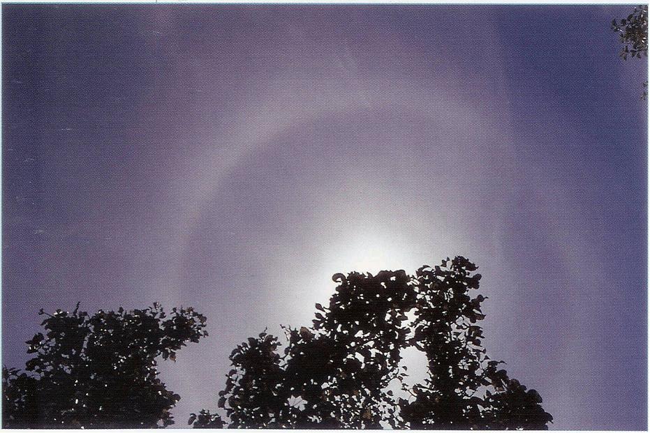 Clouds Altostratus, Watersprout Cloud, Cirrus Cloud Shadows on Neptune, Altostratus Clouds 2, Clouds Stratus, Winter Time Shower Clouds, Virga Clouds, Sub Star, Multilevel Clouds, Altocumulus Clouds 3, Altocumulus Clouds 2, Wave Clouds 2, Cirrus Cloud, Parhelic Circle Cloud, Clouds, Cirrocumulus Clouds 2, Altocumulus Clouds 4, Fallstreak Cloud, Altocumulus Clouds, Jetstream Clouds 2, Cumulus Clouds 2, Trail Clouds, Incus Clouds, Cumulonimus well developed, Halo Cloud 2, Cirrostratus Clouds 2, Subsun Cloud, Clouds Cirrocumulus, Altostratus Clouds, Gust Front, Cumulus Clouds, Stratus Clouds, Clouds Altocumulus, Altocumulusundulatus Cloud, Mamma Cloud, Trail Clouds 2, Clouds Shadow, Cumulus Clouds 3, Cumulonimbusincus with Mamma, Cloud to Ground Lightening Stroke, Tuba Watersprout Cloud, Fogbow Cloud, Cumulonimbus Clouds Decaying, Lightening Stroke Across Thunderclouds, Cloud Street, Banner Cloud, Nacreous Clouds, Wave Clouds, Mamma Cloud 2, Stratocumulus Clouds2, Altocumulusperlucidus Clouds, Nacreous Clouds 2, Cirrus Clouds 2, Cumulonimbus Cloud Massive, Precipitatio Clouds, Clouds on Earth, Stratocumulus Clouds, Jetstream Clouds, Stratus Clouds 2, Sun Pillar Cloud, Clouds Cirrostratus, Clouds Nimbostratus, Cirrocumulus Clouds, Altocumulusstratiformis Clouds, Layer of Cirrostratus Clouds, Massive Cumuliform Clouds, Tuba Cloud, Cirriform Clouds, Clouds Cumulus, Cumulonimbus and Nimbostratus Clouds, Clouds Cirrus, Nimbostratus Clouds, Clouds Stratocumulus, Arcus Cloud, Cirrostratus Clouds, CumuloNimbus Clouds, Pileus Clouds, Altocumulusradiatus Clouds, 