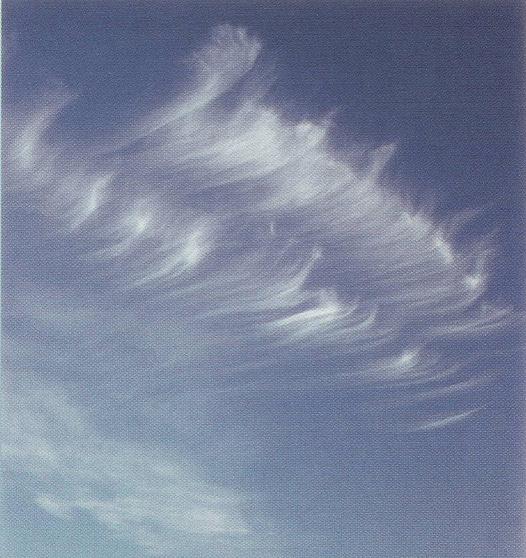 Wave Clouds 2, Altocumulusperlucidus Clouds, Fallstreak Cloud, Clouds Nimbostratus, Cloud to Ground Lightening Stroke, Halo Cloud 2, Precipitatio Clouds, Jetstream Clouds, Cirrocumulus Clouds, Cumulus Clouds, Clouds Cirrostratus, Mamma Cloud, Clouds Shadow, Tuba Watersprout Cloud, Stratus Clouds, Altocumulus Clouds, Wave Clouds, Pileus Clouds, Altostratus Clouds 2, Gust Front, Clouds Stratus, Clouds Altocumulus, Winter Time Shower Clouds, Stratocumulus Clouds2, Jetstream Clouds 2, Banner Cloud, Stratus Clouds 2, Altostratus Clouds, Lightening Stroke Across Thunderclouds, Nimbostratus Clouds, Mamma Cloud 2, Cirrus Cloud Shadows on Neptune, Cumulonimbus Cloud Massive, Clouds Stratocumulus, Altocumulus Clouds 2, Nacreous Clouds 2, Clouds Altostratus, Cumulus Clouds 3, Cloud Street, Nacreous Clouds, Tuba Cloud, Altocumulusstratiformis Clouds, Clouds Cirrus, Multilevel Clouds, Altocumulus Clouds 3, Clouds on Earth, Cirrostratus Clouds 2, Incus Clouds, Altocumulus Clouds 4, Cumulonimbusincus with Mamma, Trail Clouds 2, Watersprout Cloud, Altocumulusradiatus Clouds, Virga Clouds, Arcus Cloud, Clouds Cumulus, Cumulus Clouds 2, Cumulonimbus and Nimbostratus Clouds, Cirrocumulus Clouds 2, Subsun Cloud, Fogbow Cloud, Cirrus Clouds 2, Clouds Cirrocumulus, Parhelic Circle Cloud, Cirrus Cloud, Clouds, CumuloNimbus Clouds, Cirriform Clouds, Stratocumulus Clouds, Layer of Cirrostratus Clouds, Cirrostratus Clouds, Altocumulusundulatus Cloud, Cumulonimus well developed, Massive Cumuliform Clouds, Sub Star, Cumulonimbus Clouds Decaying, Sun Pillar Cloud, Trail Clouds, 
