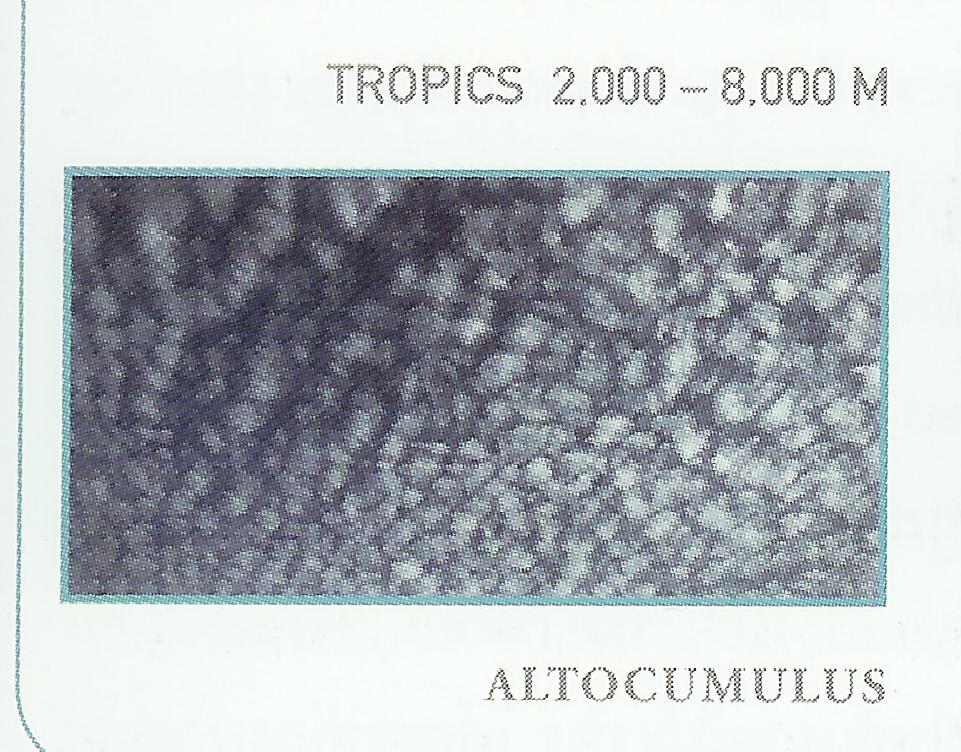Cirrostratus Clouds 2, Clouds on Earth, Clouds Nimbostratus, Layer of Cirrostratus Clouds, Cumulonimbusincus with Mamma, Clouds Cirrocumulus, Cirrus Clouds 2, Incus Clouds, Cumulonimbus and Nimbostratus Clouds, Stratus Clouds 2, Clouds Cirrus, Altocumulus Clouds, Wave Clouds 2, Cumulonimbus Clouds Decaying, Cumulonimus well developed, Clouds Cirrostratus, Nacreous Clouds, Altocumulusstratiformis Clouds, Mamma Cloud, Tuba Cloud, Mamma Cloud 2, Banner Cloud, Clouds Cumulus, Gust Front, Cirriform Clouds, Cirrocumulus Clouds, Stratus Clouds, Cirrus Cloud Shadows on Neptune, Multilevel Clouds, Altocumulus Clouds 4, Trail Clouds 2, Clouds Altostratus, Cumulus Clouds 2, Cumulonimbus Cloud Massive, Cumulus Clouds, Arcus Cloud, Stratocumulus Clouds2, Altocumulus Clouds 3, Altocumulus Clouds 2, Fallstreak Cloud, Clouds, Pileus Clouds, Cumulus Clouds 3, Tuba Watersprout Cloud, Cirrocumulus Clouds 2, Altostratus Clouds 2, Fogbow Cloud, Jetstream Clouds, Virga Clouds, Altostratus Clouds, Altocumulusradiatus Clouds, Watersprout Cloud, Clouds Stratocumulus, Nimbostratus Clouds, Stratocumulus Clouds, Clouds Stratus, Clouds Altocumulus, Cirrus Cloud, Trail Clouds, Clouds Shadow, Cloud to Ground Lightening Stroke, Cloud Street, Sub Star, Subsun Cloud, Massive Cumuliform Clouds, Halo Cloud 2, Jetstream Clouds 2, Altocumulusperlucidus Clouds, Lightening Stroke Across Thunderclouds, Precipitatio Clouds, Altocumulusundulatus Cloud, Winter Time Shower Clouds, Parhelic Circle Cloud, CumuloNimbus Clouds, Sun Pillar Cloud, Cirrostratus Clouds, Nacreous Clouds 2, Wave Clouds, 