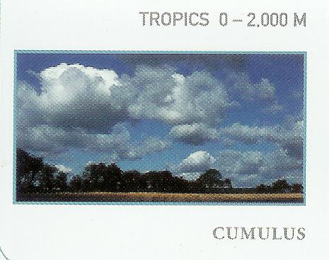 Cloud Street, Cirrus Clouds 2, Clouds Shadow, Banner Cloud, Multilevel Clouds, Mamma Cloud 2, Cirrocumulus Clouds 2, Cumulonimus well developed, Nacreous Clouds 2, Clouds Cirrocumulus, Halo Cloud 2, Cumulonimbus Cloud Massive, Tuba Cloud, Clouds Cirrostratus, Tuba Watersprout Cloud, Mamma Cloud, Cumulonimbus and Nimbostratus Clouds, Stratus Clouds, Clouds Altocumulus, Parhelic Circle Cloud, Subsun Cloud, Trail Clouds 2, Clouds Stratocumulus, Virga Clouds, Stratocumulus Clouds, Cirrocumulus Clouds, Nacreous Clouds, CumuloNimbus Clouds, Cumulus Clouds, Cirrostratus Clouds, Cirriform Clouds, Clouds Stratus, Altocumulusstratiformis Clouds, Watersprout Cloud, Clouds Nimbostratus, Sub Star, Altocumulus Clouds 2, Trail Clouds, Nimbostratus Clouds, Fallstreak Cloud, Precipitatio Clouds, Altostratus Clouds, Incus Clouds, Massive Cumuliform Clouds, Clouds on Earth, Jetstream Clouds, Sun Pillar Cloud, Pileus Clouds, Altocumulusperlucidus Clouds, Wave Clouds 2, Altocumulusradiatus Clouds, Winter Time Shower Clouds, Altocumulus Clouds 4, Arcus Cloud, Clouds, Wave Clouds, Altocumulus Clouds 3, Cirrus Cloud Shadows on Neptune, Fogbow Cloud, Cumulonimbus Clouds Decaying, Clouds Cumulus, Gust Front, Altostratus Clouds 2, Cumulonimbusincus with Mamma, Cumulus Clouds 3, Clouds Altostratus, Stratus Clouds 2, Cumulus Clouds 2, Cloud to Ground Lightening Stroke, Cirrostratus Clouds 2, Altocumulus Clouds, Jetstream Clouds 2, Altocumulusundulatus Cloud, Stratocumulus Clouds2, Layer of Cirrostratus Clouds, Clouds Cirrus, Cirrus Cloud, Lightening Stroke Across Thunderclouds, 