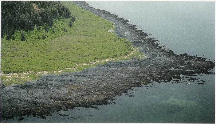 Coastal Alaska, Rock Formation Watercolour, Uranium ore autunite, Glacial Remains Greenland, Wairarapa Fault New Zealand, Geology of the Earth, Rock Formation, Granite Rock under Microscope, Barberton Greenstone Belt Africa, 