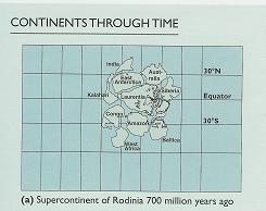 Tectonic Plates Motion, Continents Through Time d, Continents Through Time c, Continents ' Tectonic Movements over Time, Continents Through Time b, 