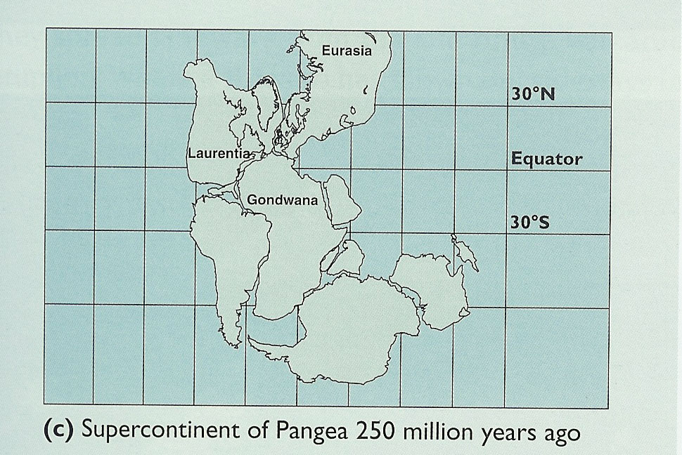Continents Through Time d, Tectonic Plates Motion, Continents ' Tectonic Movements over Time, Continents Through Time b, Continents Through Time c, 