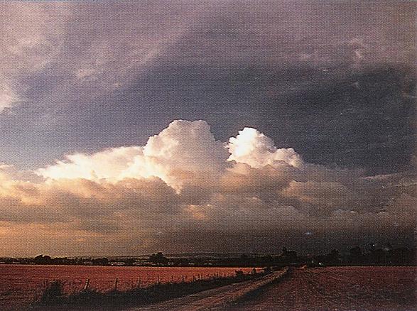 Cumulonimbus and Nimbostratus Clouds, Cirrus Cloud, Cirrus Cloud Shadows on Neptune, Clouds Cumulus, Cirrus Clouds 2, Altocumulusperlucidus Clouds, Stratocumulus Clouds2, Jetstream Clouds, Altostratus Clouds 2, Altocumulus Clouds 2, Clouds Cirrostratus, Parhelic Circle Cloud, Nacreous Clouds, Pileus Clouds, Nacreous Clouds 2, Watersprout Cloud, Halo Cloud 2, Cumulonimus well developed, Banner Cloud, Cirrocumulus Clouds, Altocumulusradiatus Clouds, Multilevel Clouds, Clouds Cirrus, Winter Time Shower Clouds, Cloud Street, Trail Clouds 2, Cumulonimbus Clouds Decaying, Nimbostratus Clouds, Sub Star, Altocumulus Clouds, Stratocumulus Clouds, Clouds Shadow, Precipitatio Clouds, Stratus Clouds, Mamma Cloud, Fallstreak Cloud, Clouds Nimbostratus, Jetstream Clouds 2, Subsun Cloud, Altostratus Clouds, Altocumulusstratiformis Clouds, Stratus Clouds 2, Trail Clouds, Virga Clouds, Massive Cumuliform Clouds, Cumulonimbus Cloud Massive, Lightening Stroke Across Thunderclouds, Cirriform Clouds, Layer of Cirrostratus Clouds, Clouds Stratus, Sun Pillar Cloud, Clouds on Earth, Clouds Altocumulus, Cumulus Clouds 2, Fogbow Cloud, Altocumulusundulatus Cloud, Wave Clouds 2, Incus Clouds, Gust Front, Altocumulus Clouds 4, Cumulus Clouds, Cirrostratus Clouds 2, Wave Clouds, Cumulonimbusincus with Mamma, Arcus Cloud, Tuba Cloud, Altocumulus Clouds 3, Cloud to Ground Lightening Stroke, Clouds Stratocumulus, Clouds Cirrocumulus, Cirrostratus Clouds, Clouds Altostratus, Clouds, Tuba Watersprout Cloud, Cirrocumulus Clouds 2, Cumulus Clouds 3, Mamma Cloud 2, CumuloNimbus Clouds, 