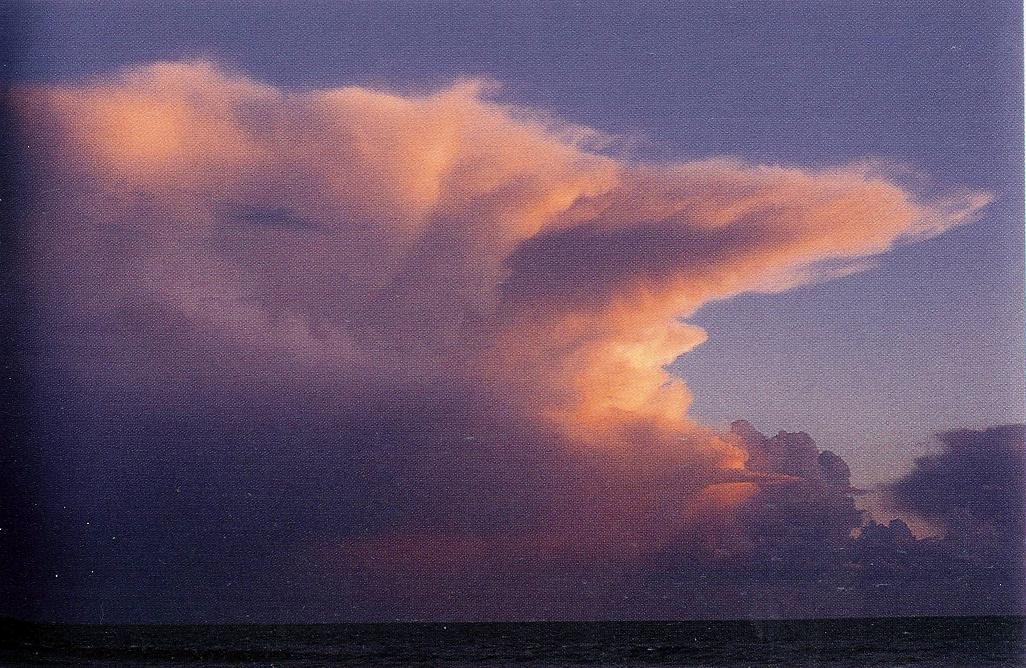 Cumulonimbus Clouds Decaying, Clouds Cirrostratus, Cumulonimbus and Nimbostratus Clouds, Banner Cloud, Precipitatio Clouds, Mamma Cloud 2, Trail Clouds 2, Subsun Cloud, Cumulus Clouds, Cirrostratus Clouds, Cirrocumulus Clouds, Clouds Altocumulus, Parhelic Circle Cloud, Cirrus Clouds 2, Nimbostratus Clouds, Altocumulusundulatus Cloud, Altostratus Clouds 2, Cirrostratus Clouds 2, Watersprout Cloud, Pileus Clouds, Altocumulusstratiformis Clouds, Cirriform Clouds, Altocumulusperlucidus Clouds, Fogbow Cloud, Cirrocumulus Clouds 2, Cumulus Clouds 3, Multilevel Clouds, Clouds Stratus, Arcus Cloud, Altocumulus Clouds, Jetstream Clouds 2, Wave Clouds 2, Sub Star, Clouds on Earth, Jetstream Clouds, Clouds Cirrus, Altocumulusradiatus Clouds, Tuba Watersprout Cloud, Cirrus Cloud, Altocumulus Clouds 3, Sun Pillar Cloud, Cloud Street, Incus Clouds, Clouds Cirrocumulus, Fallstreak Cloud, Nacreous Clouds 2, Altocumulus Clouds 4, Cumulus Clouds 2, Clouds Stratocumulus, Mamma Cloud, Halo Cloud 2, Lightening Stroke Across Thunderclouds, Layer of Cirrostratus Clouds, Tuba Cloud, Wave Clouds, Winter Time Shower Clouds, Cirrus Cloud Shadows on Neptune, Massive Cumuliform Clouds, Altostratus Clouds, Clouds Cumulus, Clouds Altostratus, Virga Clouds, Clouds Shadow, Stratus Clouds, Nacreous Clouds, Altocumulus Clouds 2, Cumulonimbus Cloud Massive, Stratocumulus Clouds, Cumulonimbusincus with Mamma, Trail Clouds, Clouds Nimbostratus, Clouds, Stratocumulus Clouds2, Cumulonimus well developed, Cloud to Ground Lightening Stroke, CumuloNimbus Clouds, Stratus Clouds 2, Gust Front, 