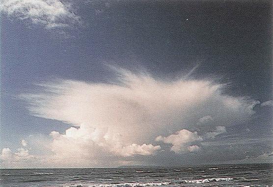Parhelic Circle Cloud, Tuba Watersprout Cloud, Cirrus Clouds 2, Multilevel Clouds, Watersprout Cloud, Trail Clouds 2, Wave Clouds, Clouds Stratus, Altocumulus Clouds 4, Incus Clouds, Cirrostratus Clouds 2, Altocumulusperlucidus Clouds, CumuloNimbus Clouds, Lightening Stroke Across Thunderclouds, Sub Star, Cumulus Clouds 3, Winter Time Shower Clouds, Cirrostratus Clouds, Cumulus Clouds 2, Stratus Clouds, Nimbostratus Clouds, Sun Pillar Cloud, Subsun Cloud, Nacreous Clouds, Altocumulusundulatus Cloud, Virga Clouds, Clouds Cirrocumulus, Cumulonimbus and Nimbostratus Clouds, Altocumulus Clouds 2, Altocumulus Clouds 3, Cloud to Ground Lightening Stroke, Tuba Cloud, Stratocumulus Clouds, Cloud Street, Banner Cloud, Clouds, Cumulonimbus Cloud Massive, Pileus Clouds, Clouds Altostratus, Fogbow Cloud, Cirrus Cloud Shadows on Neptune, Layer of Cirrostratus Clouds, Cirriform Clouds, Stratus Clouds 2, Cirrocumulus Clouds, Mamma Cloud 2, Cirrus Cloud, Clouds Cumulus, Cirrocumulus Clouds 2, Altocumulus Clouds, Arcus Cloud, Clouds Cirrus, Clouds Cirrostratus, Altocumulusradiatus Clouds, Cumulonimbusincus with Mamma, Clouds Nimbostratus, Altocumulusstratiformis Clouds, Clouds on Earth, Jetstream Clouds, Stratocumulus Clouds2, Precipitatio Clouds, Clouds Shadow, Clouds Altocumulus, Jetstream Clouds 2, Nacreous Clouds 2, Mamma Cloud, Cumulonimus well developed, Altostratus Clouds 2, Cumulonimbus Clouds Decaying, Trail Clouds, Halo Cloud 2, Clouds Stratocumulus, Fallstreak Cloud, Wave Clouds 2, Cumulus Clouds, Gust Front, Altostratus Clouds, Massive Cumuliform Clouds, 