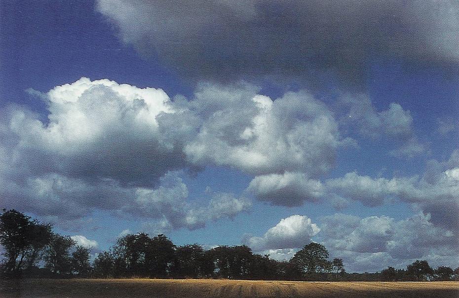 Cumulus Clouds, Jetstream Clouds 2, Subsun Cloud, Clouds Stratus, Wave Clouds 2, Banner Cloud, Wave Clouds, Altocumulus Clouds 2, Stratus Clouds, Cirriform Clouds, Virga Clouds, Cirrocumulus Clouds, Jetstream Clouds, Altocumulusradiatus Clouds, Altostratus Clouds, Clouds on Earth, Cloud to Ground Lightening Stroke, Clouds Cirrostratus, Multilevel Clouds, Sun Pillar Cloud, Altocumulus Clouds 3, Cumulus Clouds 3, Trail Clouds 2, Watersprout Cloud, Cirrus Clouds 2, Gust Front, Winter Time Shower Clouds, Halo Cloud 2, Massive Cumuliform Clouds, Precipitatio Clouds, Cumulonimbus Cloud Massive, Stratus Clouds 2, Altocumulus Clouds, Clouds Cumulus, Clouds, Layer of Cirrostratus Clouds, Altostratus Clouds 2, Clouds Cirrocumulus, Parhelic Circle Cloud, Cirrostratus Clouds, Mamma Cloud, Altocumulusperlucidus Clouds, Cumulonimbus and Nimbostratus Clouds, Clouds Stratocumulus, Cumulonimbus Clouds Decaying, Incus Clouds, Nacreous Clouds 2, Cirrostratus Clouds 2, Pileus Clouds, Cumulonimbusincus with Mamma, Nacreous Clouds, Cirrocumulus Clouds 2, Nimbostratus Clouds, Arcus Cloud, Altocumulusundulatus Cloud, Sub Star, CumuloNimbus Clouds, Fogbow Cloud, Cirrus Cloud, Fallstreak Cloud, Stratocumulus Clouds, Trail Clouds, Cumulonimus well developed, Cirrus Cloud Shadows on Neptune, Stratocumulus Clouds2, Lightening Stroke Across Thunderclouds, Clouds Nimbostratus, Clouds Altostratus, Cumulus Clouds 2, Clouds Altocumulus, Tuba Watersprout Cloud, Altocumulus Clouds 4, Clouds Shadow, Clouds Cirrus, Altocumulusstratiformis Clouds, Mamma Cloud 2, Tuba Cloud, Cloud Street, 