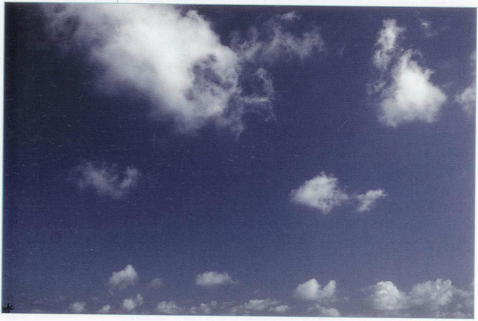 Pileus Clouds, Cumulonimbus Cloud Massive, Massive Cumuliform Clouds, Parhelic Circle Cloud, Cumulus Clouds, Nimbostratus Clouds, Trail Clouds, Wave Clouds 2, Altocumulusstratiformis Clouds, Clouds Nimbostratus, Cirrus Cloud Shadows on Neptune, Layer of Cirrostratus Clouds, Clouds Cirrostratus, Stratocumulus Clouds, Cumulus Clouds 2, Winter Time Shower Clouds, Nacreous Clouds 2, Sun Pillar Cloud, Cirrocumulus Clouds 2, Cumulonimbus Clouds Decaying, Clouds Cirrocumulus, Altocumulusundulatus Cloud, Altocumulusradiatus Clouds, Altocumulus Clouds 2, Stratus Clouds 2, Tuba Cloud, Clouds Stratocumulus, Sub Star, Cloud to Ground Lightening Stroke, Watersprout Cloud, Clouds Cirrus, Wave Clouds, Altocumulus Clouds 3, Stratocumulus Clouds2, Cirrus Clouds 2, Cirrocumulus Clouds, Cumulonimbus and Nimbostratus Clouds, Mamma Cloud, Mamma Cloud 2, Clouds, Clouds Altostratus, Cirrostratus Clouds 2, Clouds Stratus, Altostratus Clouds, Banner Cloud, Tuba Watersprout Cloud, Clouds Shadow, Nacreous Clouds, Multilevel Clouds, Cirrus Cloud, Halo Cloud 2, Fogbow Cloud, Clouds Altocumulus, Altocumulus Clouds 4, Virga Clouds, Jetstream Clouds, Trail Clouds 2, Cumulus Clouds 3, Stratus Clouds, Incus Clouds, Jetstream Clouds 2, Altostratus Clouds 2, Subsun Cloud, Altocumulusperlucidus Clouds, Cirriform Clouds, Cumulonimbusincus with Mamma, Gust Front, Clouds Cumulus, Altocumulus Clouds, Precipitatio Clouds, Cloud Street, Cumulonimus well developed, Lightening Stroke Across Thunderclouds, Clouds on Earth, Arcus Cloud, CumuloNimbus Clouds, Fallstreak Cloud, Cirrostratus Clouds, 