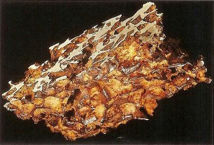 Kirkwood Gaps in Asteroid Belt, Prehistoric Quebec Carter from Space, 2 ton Asteroid Magnified view, Prehistoric Meteorite in Namibia, IDA Asteroid, Asteroid Vesta, Forged Iron Stone Meteorite, 35 Mile Asteroid Ida, Prehistoric Meteorite, Model of Chicxulub Crater, Leonid Meteor Shower, NEAR Spacecraft orbiting Eros Asteroid, Ceres 940 km asteroid, Asteroid Icarus orbits around sun, Arizona Crator by Meteorite Strike, Ida, Meteor burning thru open lense, Gaspra Asteroid, An Asteroid found on Earth, Leonid Storm, Asteroid Eros and Earth, Eros, Asteroid burns, Asteroids in Solar System, 