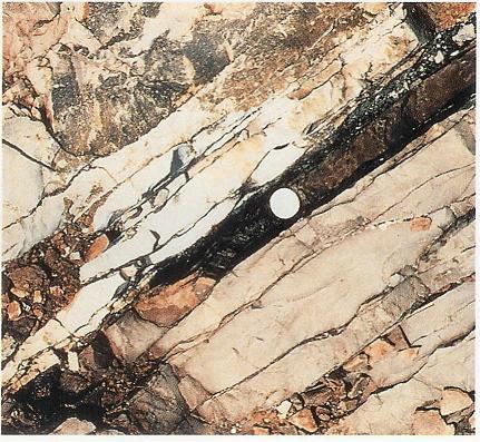 Lunar Eclipse, Cirrostratus Clouds 2, Cratered Moon, Hubble Image of Nebula 1, Cirrus Clouds 2, Mercury photographed by Mariner 10, Planets Orbits and Asteroid Belt, Prehistoric Meteorite in Namibia, Viking 2 Image, The Planet Jupiter, Veil Nebula, Surface of Moon, Cumulonimbus Cloud Massive, Star Death, Quasar PG 0052, Asteroid Vesta, Rainbow 2, Early View of Halleys Comet, Image of Sun, Clouds Stratus, Galaxy Sombrero M104, Jetstream Clouds, Comet, Ancient Supernova, Iapetus Moon of Saturn, Comet in Night Sky, Earth and Mars, CumuloNimbus Clouds, Surface of Venus Magellan, Colliding Galaxies, Sonar Image Costal Oregon, Rock from Mars, Sun Pillar Cloud, Space Ready Astronaut, Hollow center of Galaxy NGC 7052, Halo Cloud 2, Meteored Surface of Mars, Cartwheel Galaxy, Cone Nebula, Cartwheel Galaxy, Mercury Basin, Galaxy NGC1365 1, Galaxy Compact Group 87 3, Saturn Image by Voyager, Jupiters Moon Europas Icy Plains, Halleys Last Round of Earth, Galactic Merger Computer Model 4, Southern Stars, Earthquake Hit Middleton Island Alaska, Eros, Galaxy NGC 1512, Space Photo, Galaxy Cluster 3, Moons of Jupiter, Appollo 12 on Moon, Stratus Clouds, Early View of Earth, Volcanic Regions, Galaxy NGC 1512, Earth and Pluto, Planets Orbits Diagram, Medieval Painting of Comet, Galactic Merger, Quasar PG 0052 3, Galactic Merger Computer Model 3, Very Large Telescope Chile, Continents Through Time c, Earth Magnetic Field, Neptune 2, Surface of Ganymede Jupiters Moon, Precipitatio Clouds, Galaxy M1300, Zanskar High Himalayas, Oort Cloud, Colliding Galaxies 2, Continents Through Time b, Galaxy Cluster Abell 2218, Horsehead Nebula, Boiling Nebula, Quasar PG 0052 2, Himalaya Tibet from Space, Comet Colour Profile, Surface of venus 2 photographed by Venera 13, Ida, Pileus Clouds, Tibet Plateau High Desert, Earth Seen from Space, Galaxy Cluster 1, Galaxy NGC2997, Venus, Moons of the Jupiter2, Altostratus Clouds, Astronomers, Star Cluster NGC 1850, Ganymede Jupiters Moon, Surface of venus photographed by Venera 13, Viking 2 Lander Image of Mars, Tarantula Nebula 2, Nebula NGC604, Altocumulus Clouds 3, Earth and Saturn, Polar Poser Galaxy, Orbits of Mars and Earth, Planet Venus Photographed by Pioneer, Io Moon of Jupiter, Mariner10, Trail Clouds, M33 Constellation, Galactic Merger Computer Model 3, Meteor burning thru open lense, Colliding Galaxies, Surface of Ganymede Jupiters Moon 2, Clouds Cumulus, Iridescence 3, Size of Sun, Ice Flow on Europa, M33 Constellation, Ozone Hole, Quasar PG 0052, Galaxy Sombrero M104, 35 Mile Asteroid Ida, Iridescence 2, Galaxy NGC1365 1, North Pole of Mars, Layer of Cirrostratus Clouds, Apollo 15 Lunar Module, Ganymede Moon of Jupiter, Galactic Merger, Ceres 940 km asteroid, Southern Stars, Galaxy NGC1365 2, Eskimo Nebula, Our Earth Net, Most known Halleys Comet, Satelite Imaging, Appollo 12 on Moon, Galaxy NGC 4526, Galactic Merger Computer Model 1, Clouds Stratocumulus, Arizona Crator by Meteorite Strike, Weather on Venus, Saturns Rings, Space Outer Limits 2, Galaxy Cluster 4, Rings of Neptune, Leonid Meteor Shower, Altostratus Clouds 2, Alaskan Earthquake town Portage, Star Cluster 1, Cirrus Cloud Shadows on Neptune, Volcanic eruption on Io Jupiters Moon, Continent of Africa Seen from Space, Nacreous Clouds, Deep Sea Drilling Rig, Tarantula Nebula 2, Rainbow 3, Globular Cluster NGC 6934, Whirlpool Galaxy, Star Cluster NGC2264, Hubble Space Telescope, Red Spider Nebula, Eagle Nebula, IDA Asteroid, Planets Terrestrial Plates, Tarantula Nebula, Apollo 15 on Moon, Uranium ore autunite, 2 ton Asteroid Magnified view, Clouds Shadow, Africa Seen from Space, Olympas Mans Mars Volcano, Mice Galaxy, Kirkwood Gaps in Asteroid Belt, An Asteroid found on Earth, Galactic Merger Computer Model 1, Our Earth, Fossils of once living creatures in rocks, Mars Rift Valley, NEAR Spacecraft orbiting Eros Asteroid, Galactic Jet Stream, Solar System in Universe, Galaxy Cluster Abell 2218, Voyager Spacecraft, Jupiters Atmosphere, Galaxy M87, Altocumulus Clouds 2, Mars View, Galaxy ESO 510 13, Galaxy Cluster 1, Asteroid burns, Heliosphere around the sun, Iguazu Falls Parguay, Planet Neptune, Comet Linear 1, Both sides of Moon, Comet Linear Break up 1, IRAS and another Kuiper Belt, Volcanic Rocks, The Crab Nebula, Sun path in Night Sky, Colliding Galaxies, Chiron Comet Asteroid Minor Planet, Hubble Image of Nebula 2, Volcanoes of Andes from space, Altocumulusperlucidus Clouds, Eskimo Nebula, Cliff on Miranda, Galaxy M101, Fallstreak Cloud, Galaxy M1300, Galactic Merger, Volcanic Pollution 1, Veil Nebula, Galaxy Compact Group 87 1, 18 Century Painting of Comet Goddess, Clouds Nimbostratus, Orion Nebula, Solar Eclipse, Galaxy NGC1365 2, Volcanos on Mars, Volcano Smoke seen from Space, Altocumulusradiatus Clouds, Life on Mars, Mars 2, Impact Scar on Callisto, Mountains of Central Oman, Bubble of Gas from Sun, Star Cluster NGC2264, Mars Pathfinder Landing Site, Tibet Plateau High Desert, Cannibal Galaxy 1, Colliding Galaxies 2, Earth Moon, Meteorite from Mars, Cloud to Ground Lightening Stroke, Landscape of Venus, Incus Clouds, Sun Spots 2, Crater Copernicus on Moon 2, Dinosaur watches Comet, Ancient Maya Temple, Tomographic Maps 50km, Galaxy NGC 3314A, Boiling Nebula, Dione Moon of Saturn, Forged Iron Stone Meteorite, Enceladus Moon of Saturn, Mars Image, Galactic Merger Computer Model 1, Planet Mercury, Charon Moon of Pluto, Picture of Mars Surface, Galactic Merger Computer Model 3, Galactic Merger, Continents Lights from Space 2, Venus1, Wave Clouds 2, Star Cluster NGC 1850, Earth and Jupiter, Red Eye of Jupiter, Continents Lights from Space 1, Hollow center of Galaxy NGC 7052, Continents Through Time d, Aurora of Sun, Hubble Image of Nebula 1, Ancient Calender, Erruption over Io, Trifid Nebula, Corona, Globular Cluster NGC 6934, Multilevel Clouds, Galaxy Cluster 3, Peak on Venus, Charles Darwin, Twins 1998 WW31, Rainbow, Cratered Mercury, Quasar PG 0052 3, Cirriform Clouds, Meteorite, Galactic Merger, Coastal Alaska, Clouds Cirrostratus, Moon of Mars 1, Geology of Jupiters Moon Europa, Comet Linear 3, Craters on Eros, sedimentary rocks on earth, Edmond Halley, Galaxy M87, Kuiper Belt and Oort Cloud of the Sun, Star Formation, Glacial Remains Greenland, Tycos Star, Mars Moons Asteroids, Wave Clouds, Granite Rock under Microscope, Prehistoric Quebec Carter from Space, Dome of a Telescope, Crash Site of Shoemaker Levy Comet, Profile of a Galaxy, Mars Pathfinder, Cirrus Cloud, Seyfert Galaxies, Galaxy M87, Comet Linear Break up 2, Galaxy M101, Hubble Image of Nebula 2, Earth Terestrial Sphere, Lowell Crater Mars, Mars Global Surveyor, Cumulus Clouds 3, Model of Neptune, Supernova in making, Nucleus of Comet, Hollow center of Galaxy NGC 7052, Intersteller Gas Clouds, Mars, Dust Devil, Venus2, Wairarapa Fault New Zealand, King Cone Mars, 15 Century Astronomy, Prehistoric Meteorite, Trifid Nebula, Earth and Mercury, Rock Left by Ice Sheet, German Painting Depicting Catastrophes, Andromeda Galaxy, Cracks and Ridges on Europa, Cartwheel Galaxy, Asteroid Icarus orbits around sun, Hale Bopp over Stonehenge, Hubble Space Telescope under repair, Lunar Eclipse 2, Planel Pluto, Galaxy NGC1365 2, Lauterbrunnen Valley Switzerland, Giotto Space Probe, Eye of Jupiter, Internal Construction of Telescope, Star Cluster NGC3293, Atmosphere of the Jupiter, Galactic Jet Stream, Surface of Venus, Deep Space, The Goddess Venus, Galaxy NGC 4603, Iridescence, Galaxy Compact Group 87 2, Watersprout Cloud, Echo Sounder Chart, Image of the Sun, Mars Topographic Maps 3, Oort Cloud Impression, Glacial Remains Greenland, Quasar PG 0052 2, Volcanic Rocks Barberton, Meteor Strike, Eagle Nebula Earth View, Life story of a star, Model of Europas Interior, Galaxy NGC2997, Caloris Craterd Mercury, Tarantula Nebula, Titan Moon of Saturn, Saturn Moon Lapeteus, Altocumulus Clouds, Stratocumulus Clouds, Galactic Merger, Parhelic Circle Cloud, Planets Orbits, Red Spider Nebula, Galaxy Cluster 4, Star Cluster 2, Core of Halleys Comet, Tectonic Plates Motion, Galaxy M82, Supernova, Asteroid Cluster, Clouds on Mars, Cumulus Clouds 2, Tomographic Maps 750km, Plank Spacecraft, Trail Clouds 2, Lunar Rock, Active Volcano Andes Bolivia, Star Death, The Moon, Viking Lander Photo of Mars, Colliding Galaxies 2, Comet Linear 2, Cumulonimus well developed, Blob Nebula, Micro Fossils on Mars, Hubble Image of Saturn, Fossils, Galaxy Cluster Abell 2218, Rock Formation Watercolour, Blob Nebula, Zanskar High Himalayas, Comets Impact Sites on Jupiter, Early Depiction of Comets, Sun Spots, Saturn Moon Dione, Formation of Planet Earth and its 4 billions years old life., Galaxy NGC 3314A, Oort Cloud of the Sun and Milky Way, Surface of Ganymede Jupiters Moon 3, Water on Mars, Subsun Cloud, Andromeda Galaxy, Martian Meteorite, Clouds Altocumulus, Tethys Moon of Saturn, Europa Moon of Jupiter, Nimbostratus Clouds, Winter Time Shower Clouds, Galaxy M82, Early Solar System, 15 Century Painting of Halleys Comet, Solar Flares Seismic Wave, Galaxy NGC 4603, Planet Neptune 2, Volcano Kilauea Hawaii, Large Binolular Telescope, Barberton Greenstone Belt Africa, Galaxy M83, Gaspra Asteroid, Rings of the Saturn, Clouds Altostratus, Mars Topographic Maps 1, Geologist on Moon, Cannibal Galaxy 2, Double Rainbow, Galaxy NGC1365 1, Corona of Sun, Virga Clouds, Hertzsprung Russel Diagram, Volcano Kilauea Hawaii Lava River, Tornado Tunnel, Titan Moon of Saturn 2, Cepheid, Solar Flare, Sun Spot Prominence 1, Altocumulus Clouds 4, Orion Nebula, Asteroid Eros and Earth, Star Cluster 1, Nebula, Halleys Comet in 1910, Helix Nebula, Surface of Mercury, Galaxy M101, Solar Flare, Altocumulusstratiformis Clouds, Jupiters Moon and Earth, Cannibal Galaxy 2, Quasar PG 0052, Rings of Saturn, Lunar Rover Apollo 15, Cirrocumulus Clouds, Halleys Comet from Australia, Earth and Neptune, Global Mars, Evolution of Planet, Eagle Nebula, Star Formation, Stratocumulus Clouds2, Earth Terestrial Sphere, Hydra Constellation, Comet breaks up, Eagle Nebula Earth View, Galaxy Cluster 2, Galactic Merger Computer Model 4, Cratered Mercury 1, Helix Nebula, Triton Moon of Neptune, Planet Saturn, Cumulonimbus Clouds Decaying, Plague by Flies, Phobos Asteroid Captured on Mars, Mars Probe Viking, Model of Uranus, Stratus Clouds 2, Cone Nebula, Solar Gas Eruptions, Cirrostratus Clouds, Jetstream Clouds 2, Miranda Moon of Uranus, Astronuat Apollo 11 on Moon, Continents Through Time a, Hot spots and plume tracks, Crater Copernicus on Moon, Cumulus Clouds, Galactic Merger Computer Model 2, Cloud Street, Lightening Stroke Across Thunderclouds, Star Birth at Orion Nebula, Large Craters on Venus, Nasa Saturn Explorer Cassini, Planet Jupiter, Callisto moon of Jupiter, Mars photographed by Pathfinder, Dark Street on Mars, Comet Hits on Ganymede, Mamma Cloud 2, Altocumulusundulatus Cloud, Galaxy NGC4414, Hale Bopp Comet, Mars Topographic Maps 2, Galactic Merger, Hollow center of Galaxy NGC 7052, Horsehead Nebula, Galactic Merger Computer Model 2, Our Planet Earth, Mamma Cloud, Planet Uranus, Hydra Constellation, Halleys Comet Star of Bethlehem, Mars Photographed by Viking Orbiter, Comet Around Sun, Galaxy NGC 1512, Tuba Watersprout Cloud, Solar Flares Seismic Wave, Space Outer Limits 1, Crater on Callisto Jupiters Moon, Banner Cloud, Leonid Storm, Crater on Mars, Mariner 4 View of Mars, Quasar PG 0052 3, Space Shuttle Atlantis, Astronomers 2, Volcanic Pollution 2, Comet Swift Turtle 1992, Planet in Space, Whirlpool Galaxy, Galaxy NGC4414, Disc of the Sun, Model of Chicxulub Crater, Solar Gas Eruptions, Rover on Mars, A Geologist on Moon, Galaxy M82, Columbia Space Shuttle Launch 2002, Man Steps on Moon, The Crab Nebula, Earth Rise on Moon, Omega Centauri Star Cluster, Corona 2, Earth and Uranus, Shoemaker Levy 9 Breaking up, Voyager 2, Arcus Cloud, Titans Smog, Sun Spot Prominence 2, Pluto and its moon Charon, Mars Odyssey Spacecraft, Cepheid, Karl Gauss Astronomer, Cannibal Galaxy 1, Massive Cumuliform Clouds, Quasar PG 0052 2, Star Birth at Orion Nebula, Gust Front, Cumulonimbusincus with Mamma, Tomographic Maps 250km, Solar System in Universe, Cirrocumulus Clouds 2, Earth and Moon, Charles Messier Ferret of Comets, Quasar 3C 273, Mir Space Station, Halo Cloud, Tuba Cloud, Galaxy M1300, Moon of Mars 2, Earth and Venus, Star Cluster 2, Galaxy Cluster 2, Mars photographed 2 by Pathfinder, Mars Probe Mariner 9, Warp Factor, Moons of the Jupiter, Sub Star, Galaxy NGC4414, Supenova remains, Galactic Merger Computer Model 4, Nebula NGC604, Disc of the Sun, Galactic Merger Computer Model 2, Star Cluster NGC3293, Death of King Arthur, Kitt Peak Arizona USA, Mars Express Spacecraft, Active Volcano Crater, Cannibal Galaxy 2, Clouds, The Jupiters Aurora, Hubble Image of Neptune, Clouds Cirrocumulus, Mariner 9 view of Mars, Seven Sisters, Map of the Mars, Face on Mars, Mercury Surface, Hubble Space Telescope image of Uranus, Bode, Space Photo, Mimas Moon of Saturn, Cumulonimbus and Nimbostratus Clouds, Mock Moon, Mars Exploration Rovers, Fogbow Cloud, Cannibal Galaxy 1, Galaxy NGC2997, Andromeda Galaxy, Pistol Nebula, International Space Station, Nacreous Clouds 2, Aurora from Space, Nebula, Starry Sky, Zanskar High Himalayas, Lava Flow on Venus, Pistol Nebula, Clouds Cirrus, 