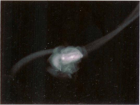 Earth and Neptune, North Pole of Mars, Ice Flow on Europa, Cratered Mercury 1, Surface of Venus, Apollo 15 on Moon, Jupiters Moon Europas Icy Plains, Cumulonimbus and Nimbostratus Clouds, Andromeda Galaxy, Earthquake Hit Middleton Island Alaska, Tycos Star, Cannibal Galaxy 1, Pistol Nebula, Double Rainbow, Cumulonimus well developed, Earth and Venus, Caloris Craterd Mercury, Space Shuttle Atlantis, Saturn Image by Voyager, Asteroid Vesta, Comet, Comet Linear Break up 2, Incus Clouds, Altocumulus Clouds, Star Cluster 2, Red Spider Nebula, Galaxy Cluster Abell 2218, Leonid Meteor Shower, Evolution of Planet, Comet Linear 3, Shoemaker Levy 9 Breaking up, Comet breaks up, Volcano Kilauea Hawaii, Cartwheel Galaxy, Rock Formation Watercolour, Our Earth, Quasar PG 0052 2, Europa Moon of Jupiter, Moon of Mars 2, Tomographic Maps 750km, Clouds Stratus, Cannibal Galaxy 2, Planets Orbits, Star Cluster 1, Mars Topographic Maps 2, Tomographic Maps 50km, Giotto Space Probe, Fossils, Eye of Jupiter, Tuba Watersprout Cloud, The Moon, German Painting Depicting Catastrophes, Cumulus Clouds 3, Mars Express Spacecraft, Titan Moon of Saturn 2, Weather on Venus, Prehistoric Meteorite in Namibia, Mars Rift Valley, Corona, Geology of Jupiters Moon Europa, Watersprout Cloud, Dust Devil, Eagle Nebula Earth View, Halleys Comet in 1910, Eskimo Nebula, Ceres 940 km asteroid, Galaxy Cluster 3, Comets Impact Sites on Jupiter, Supenova remains, Mariner10, Warp Factor, Galactic Merger, Sonar Image Costal Oregon, M33 Constellation, Star Birth at Orion Nebula, Fallstreak Cloud, Galaxy NGC4414, Clouds Nimbostratus, Clouds Cirrocumulus, Quasar PG 0052 2, Cumulus Clouds, Galaxy NGC2997, Life story of a star, Galaxy Compact Group 87 2, Nucleus of Comet, Appollo 12 on Moon, Cirrus Cloud, Io Moon of Jupiter, Zanskar High Himalayas, Galaxy NGC1365 1, Mars photographed 2 by Pathfinder, Astronomers, Neptune 2, Cepheid, Asteroid Cluster, Hubble Image of Neptune, Tuba Cloud, Enceladus Moon of Saturn, Galaxy Cluster 3, Whirlpool Galaxy, Volcanic Rocks Barberton, Planet Uranus, Andromeda Galaxy, Arizona Crator by Meteorite Strike, Earth and Saturn, Clouds Cirrus, Galaxy ESO 510 13, NEAR Spacecraft orbiting Eros Asteroid, Blob Nebula, Crater Copernicus on Moon, Cirrocumulus Clouds 2, Galaxy NGC1365 1, Colliding Galaxies 2, Galaxy M1300, Dinosaur watches Comet, Tomographic Maps 250km, Earth and Mars, Galactic Merger, Clouds, sedimentary rocks on earth, Galaxy Cluster 2, Comet Swift Turtle 1992, Rainbow, Viking 2 Image, Solar Eclipse, Deep Sea Drilling Rig, Sun Spot Prominence 2, Orbits of Mars and Earth, Galactic Merger Computer Model 2, Cumulonimbusincus with Mamma, Boiling Nebula, Rings of the Saturn, IRAS and another Kuiper Belt, Disc of the Sun, Internal Construction of Telescope, Saturn Moon Dione, IDA Asteroid, Galactic Merger Computer Model 2, Red Eye of Jupiter, Star Death, The Crab Nebula, Dark Street on Mars, Veil Nebula, Planets Orbits Diagram, Africa Seen from Space, Galactic collisions and mergers Galactic encounters are the most spectacular traffic accidents in the Universe., Galaxy Cluster Abell 2218, Star Formation, Iridescence, Asteroid burns, Nasa Saturn Explorer Cassini, Corona of Sun, 2 ton Asteroid Magnified view, Cirrus Cloud Shadows on Neptune, Ancient Maya Temple, Solar Flare, Altostratus Clouds 2, Olympas Mans Mars Volcano, Galaxy NGC 4526, Continents Through Time b, Volcanos on Mars, Altocumulusperlucidus Clouds, Wave Clouds, Crater on Callisto Jupiters Moon, Charon Moon of Pluto, Venus1, Galactic Jet Stream, Cirrus Clouds 2, Galactic Merger Computer Model 2, Quasar PG 0052, Mars Odyssey Spacecraft, Galaxy Compact Group 87 1, Phobos Asteroid Captured on Mars, Meteor Strike, Surface of Mercury, Water on Mars, Star Cluster NGC 1850, Multilevel Clouds, Planet Mercury, Man Steps on Moon, Both sides of Moon, Quasar PG 0052, Galaxy M1300, Eagle Nebula, Mars Moons Asteroids, Volcanic eruption on Io Jupiters Moon, Forged Iron Stone Meteorite, Quasar PG 0052, Space Ready Astronaut, Galactic Merger, M33 Constellation, Intersteller Gas Clouds, Voyager 2, Comet in Night Sky, Mars Pathfinder Landing Site, Earth and Mercury, Zanskar High Himalayas, Halo Cloud, Banner Cloud, Volcanoes of Andes from space, The Goddess Venus, CumuloNimbus Clouds, Surface of venus photographed by Venera 13, Galaxy M82, Winter Time Shower Clouds, Continents Lights from Space 1, Subsun Cloud, Surface of Ganymede Jupiters Moon, Galactic Merger, Astronuat Apollo 11 on Moon, Cirrostratus Clouds, The Crab Nebula, Solar System in Universe, Galactic Merger Computer Model 3, Columbia Space Shuttle Launch 2002, Moon of Mars 1, Oort Cloud Impression, Our Earth Net, Hydra Constellation, Tarantula Nebula 2, Volcano Kilauea Hawaii Lava River, 15 Century Astronomy, Altocumulus Clouds 3, Kirkwood Gaps in Asteroid Belt, Earth Magnetic Field, Southern Stars, Sun Spots, Glacial Remains Greenland, Earth and Jupiter, Galactic Merger Computer Model 3, Star Cluster 2, Galaxy Cluster Abell 2218, Crater Copernicus on Moon 2, Large Binolular Telescope, Galaxy M87, Comet Hits on Ganymede, Galactic Jet Stream, Solar Flare, Twins 1998 WW31, Asteroid Icarus orbits around sun, Echo Sounder Chart, Moons of the Jupiter, Lowell Crater Mars, Cracks and Ridges on Europa, Comet Linear 2, Massive Cumuliform Clouds, Galactic Merger Computer Model 1, Mimas Moon of Saturn, Colliding Galaxies, Solar Gas Eruptions, Cannibal Galaxy 1, Eros, Lunar Rover Apollo 15, Dione Moon of Saturn, Plague by Flies, Our Planet Earth, Supernova, Globular Cluster NGC 6934, Trail Clouds 2, Supernova in making, Impact Scar on Callisto, Meteorite, Jetstream Clouds 2, Galaxy Cluster 4, Jupiters Atmosphere, Nacreous Clouds, Mars View, Galaxy NGC 4603, Active Volcano Andes Bolivia, Galaxy M87, Cumulonimbus Cloud Massive, Hubble Space Telescope under repair, Titan Moon of Saturn, Cone Nebula, Model of Uranus, Kuiper Belt and Oort Cloud of the Sun, Mars Topographic Maps 3, Star Cluster NGC2264, Pistol Nebula, Volcanic Rocks, Surface of Venus Magellan, Galactic Merger, Horsehead Nebula, Colliding Galaxies, Volcanic Pollution 1, Precipitatio Clouds, Death of King Arthur, Southern Stars, Zanskar High Himalayas, Trifid Nebula, Earth Rise on Moon, Colliding Galaxies 2, Star Birth at Orion Nebula, Planets Terrestrial Plates, Prehistoric Meteorite, Quasar PG 0052 3, Face on Mars, Space Outer Limits 2, Lightening Stroke Across Thunderclouds, Picture of Mars Surface, Pileus Clouds, Galaxy NGC2997, Peak on Venus, Continents Through Time c, Meteorite from Mars, Iguazu Falls Parguay, Star Death, Micro Fossils on Mars, Solar Flares Seismic Wave, Planet Jupiter, Tibet Plateau High Desert, Tornado Tunnel, Mars Image, Mars Exploration Rovers, Cratered Mercury, Hydra Constellation, Mercury photographed by Mariner 10, Star Cluster 1, Lunar Eclipse, Kitt Peak Arizona USA, Planet Neptune, Sun Spot Prominence 1, Solar Gas Eruptions, Galaxy NGC1365 2, Helix Nebula, Star Cluster NGC 1850, Mir Space Station, Lava Flow on Venus, Star Cluster NGC3293, Galactic Merger Computer Model 4, Galaxy M101, Hubble Space Telescope image of Uranus, Saturn Moon Lapeteus, Appollo 12 on Moon, Hollow center of Galaxy NGC 7052, Tibet Plateau High Desert, Granite Rock under Microscope, Galaxy M1300, Cloud Street, Mariner 9 view of Mars, Planet in Space, Apollo 15 Lunar Module, Clouds Altostratus, Fossils of once living creatures in rocks, Early View of Earth, Hubble Image of Nebula 1, Large Craters on Venus, Cratered Moon, Charles Messier Ferret of Comets, Meteored Surface of Mars, Nebula, Early View of Halleys Comet, Galaxy NGC 1512, Viking 2 Lander Image of Mars, Whirlpool Galaxy, Sub Star, Rainbow 2, Stratus Clouds 2, Mars Topographic Maps 1, Profile of a Galaxy, Corona 2, Omega Centauri Star Cluster, Andromeda Galaxy, Life on Mars, A Geologist on Moon, Cepheid, Early Depiction of Comets, Mercury Basin, Edmond Halley, Gaspra Asteroid, Hale Bopp Comet, Galaxy Sombrero M104, Galaxy NGC1365 1, Mars Probe Viking, Quasar PG 0052 3, Galaxy NGC4414, Mars, Moons of Jupiter, Galaxy NGC1365 2, Mariner 4 View of Mars, Planet Neptune 2, Cirriform Clouds, Clouds Shadow, Galaxy NGC 1512, Galaxy NGC1365 2, Stratocumulus Clouds, Quasar PG 0052 2, Blob Nebula, Mamma Cloud, Cannibal Galaxy 1, Trail Clouds, Crash Site of Shoemaker Levy Comet, Wairarapa Fault New Zealand, Cumulonimbus Clouds Decaying, Jetstream Clouds, Hubble Image of Nebula 2, Lunar Eclipse 2, Medieval Painting of Comet, Sun path in Night Sky, Clouds on Mars, Altocumulusradiatus Clouds, Mars Global Surveyor, Cartwheel Galaxy, Crater on Mars, Sun Pillar Cloud, Atmosphere of the Jupiter, Pluto and its moon Charon, Galaxy M101, Star Cluster NGC2264, Parhelic Circle Cloud, Trifid Nebula, Nebula NGC604, Planets Orbits and Asteroid Belt, Nimbostratus Clouds, Earth Moon, Solar System in Universe, Layer of Cirrostratus Clouds, Tarantula Nebula, Clouds Altocumulus, Craters on Eros, Mars Photographed by Viking Orbiter, Ancient Supernova, Hollow center of Galaxy NGC 7052, Galaxy Cluster 4, Helix Nebula, Satelite Imaging, Titans Smog, Mars 2, Colliding Galaxies 2, Colliding Galaxies, Earth and Pluto, Mock Moon, Volcanic Pollution 2, Galaxy M87, Ganymede Jupiters Moon, Galaxy NGC4414, Hollow center of Galaxy NGC 7052, Fogbow Cloud, Solar Flares Seismic Wave, Polar Poser Galaxy, Galaxy NGC 3314A, Galaxy M83, Galactic Merger Computer Model 4, Continent of Africa Seen from Space, Hale Bopp over Stonehenge, Galaxy Cluster 1, Seyfert Galaxies, Space Photo, Stratus Clouds, Asteroid Eros and Earth, Surface of Ganymede Jupiters Moon 2, Altocumulus Clouds 2, Planet Venus Photographed by Pioneer, Clouds Cumulus, Model of Neptune, Cumulus Clouds 2, Leonid Storm, International Space Station, Hubble Image of Nebula 1, Starry Sky, Comet Linear 1, Hubble Image of Saturn, Core of Halleys Comet, Heliosphere around the sun, Surface of venus 2 photographed by Venera 13, Nacreous Clouds 2, Halo Cloud 2, Ancient Calender, Wave Clouds 2, Earth Seen from Space, Arcus Cloud, An Asteroid found on Earth, Cirrostratus Clouds 2, Mercury Surface, Moons of the Jupiter2, Galactic Merger Computer Model 4, Galaxy NGC 3314A, Callisto moon of Jupiter, Galaxy NGC 1512, Tethys Moon of Saturn, Galaxy M82, Comet Around Sun, Star Cluster NGC3293, Mamma Cloud 2, Very Large Telescope Chile, Hollow center of Galaxy NGC 7052, Ozone Hole, Halleys Last Round of Earth, Altocumulus Clouds 4, Planet Saturn, Earth Terestrial Sphere, Viking Lander Photo of Mars, Aurora of Sun, Himalaya Tibet from Space, Landscape of Venus, Saturns Rings, Martian Meteorite, Virga Clouds, Hot spots and plume tracks, Galaxy M82, Triton Moon of Neptune, Galactic Merger Computer Model 3, Galactic Merger Computer Model 1, Volcanic Regions, The Jupiters Aurora, Image of Sun, 18 Century Painting of Comet Goddess, Quasar 3C 273, Comet Colour Profile, Lunar Rock, Bode, Mountains of Central Oman, Comet Linear Break up 1, Uranium ore autunite, Quasar PG 0052 3, Clouds Stratocumulus, Seven Sisters, Venus, Oort Cloud of the Sun and Milky Way, Star Formation, Galaxy Cluster 1, Red Spider Nebula, Halleys Comet Star of Bethlehem, Chiron Comet Asteroid Minor Planet, Plank Spacecraft, Rainbow 3, Earth and Moon, Early Solar System, Tarantula Nebula 2, Jupiters Moon and Earth, Tarantula Nebula, Galaxy Sombrero M104, Altocumulusundulatus Cloud, Altocumulusstratiformis Clouds, Map of the Mars, Coastal Alaska, Galaxy Cluster 2, Mars Probe Mariner 9, Clouds Cirrostratus, Barberton Greenstone Belt Africa, Galaxy NGC 4603, Orion Nebula, Voyager Spacecraft, Ida, Globular Cluster NGC 6934, Halleys Comet from Australia, Space Photo, Planel Pluto, Earth and Uranus, Dome of a Telescope, Eagle Nebula Earth View, Hertzsprung Russel Diagram, Veil Nebula, Charles Darwin, Ganymede Moon of Jupiter, Alaskan Earthquake town Portage, Mars Pathfinder, Space Outer Limits 1, Volcano Smoke seen from Space, Eskimo Nebula, Surface of Moon, Continents Through Time d, Iridescence 2, Cartwheel Galaxy, Cirrocumulus Clouds, Aurora from Space, Mice Galaxy, Prehistoric Quebec Carter from Space, The Planet Jupiter, Cannibal Galaxy 2, Eagle Nebula, Galactic Merger Computer Model 1, Gust Front, Miranda Moon of Uranus, Rock Left by Ice Sheet, Iridescence 3, Model of Chicxulub Crater, Bubble of Gas from Sun, Hubble Space Telescope, Active Volcano Crater, Iapetus Moon of Saturn, Tectonic Plates Motion, Altostratus Clouds, Nebula NGC604, Deep Space, Astronomers 2, Oort Cloud, Rings of Saturn, Cloud to Ground Lightening Stroke, Galaxy M101, Earth Terestrial Sphere, Erruption over Io, Rock from Mars, Image of the Sun, Sun Spots 2, King Cone Mars, Orion Nebula, Rings of Neptune, Continents Lights from Space 2, Surface of Ganymede Jupiters Moon 3, Stratocumulus Clouds2, Disc of the Sun, Lauterbrunnen Valley Switzerland, Rover on Mars, Cliff on Miranda, Galactic Merger, Galactic Merger, Karl Gauss Astronomer, Mars photographed by Pathfinder, Most known Halleys Comet, Galaxy Compact Group 87 3, Nebula, Global Mars, Meteor burning thru open lense, Glacial Remains Greenland, Boiling Nebula, Venus2, Model of Europas Interior, Hubble Image of Nebula 2, Continents Through Time a, Horsehead Nebula, 15 Century Painting of Halleys Comet, Cannibal Galaxy 2, Size of Sun, 35 Mile Asteroid Ida, Cone Nebula, Galaxy NGC2997, Geologist on Moon, 