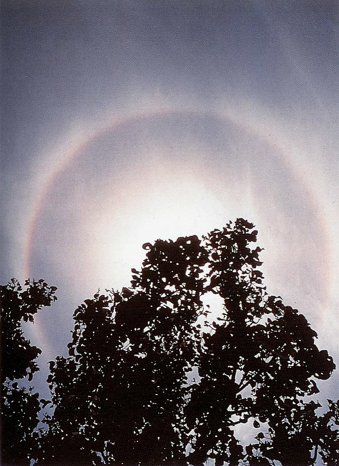 Altocumulusradiatus Clouds, Cirrus Cloud Shadows on Neptune, Clouds Cirrostratus, Clouds on Earth, Banner Cloud, Stratocumulus Clouds, Altocumulusperlucidus Clouds, Altostratus Clouds, Cirriform Clouds, Clouds Cumulus, Fallstreak Cloud, Arcus Cloud, Cumulus Clouds 3, Cirrostratus Clouds, Parhelic Circle Cloud, Cirrocumulus Clouds, Lightening Stroke Across Thunderclouds, Cloud Street, Cirrus Clouds 2, Cumulonimbus Cloud Massive, Cumulonimbusincus with Mamma, Fogbow Cloud, Altocumulusundulatus Cloud, Sun Pillar Cloud, Altocumulus Clouds 3, Tuba Watersprout Cloud, Clouds Shadow, Tuba Cloud, Wave Clouds 2, Sub Star, Cloud to Ground Lightening Stroke, Clouds Nimbostratus, Altocumulus Clouds, Stratus Clouds 2, Nacreous Clouds, Cumulonimbus and Nimbostratus Clouds, Gust Front, Virga Clouds, Clouds Altostratus, Layer of Cirrostratus Clouds, Cirrocumulus Clouds 2, Altostratus Clouds 2, Clouds Stratus, Cirrostratus Clouds 2, Cirrus Cloud, Watersprout Cloud, Subsun Cloud, Massive Cumuliform Clouds, Stratus Clouds, Precipitatio Clouds, Altocumulus Clouds 2, Clouds Altocumulus, Cumulus Clouds 2, Trail Clouds 2, Mamma Cloud, Cumulonimus well developed, Cumulonimbus Clouds Decaying, Stratocumulus Clouds2, Mamma Cloud 2, Nimbostratus Clouds, Jetstream Clouds 2, Cumulus Clouds, Jetstream Clouds, Clouds, Altocumulus Clouds 4, Nacreous Clouds 2, Pileus Clouds, Trail Clouds, Clouds Cirrus, Winter Time Shower Clouds, Clouds Stratocumulus, Altocumulusstratiformis Clouds, Multilevel Clouds, Clouds Cirrocumulus, Wave Clouds, Halo Cloud 2, Incus Clouds, CumuloNimbus Clouds, 