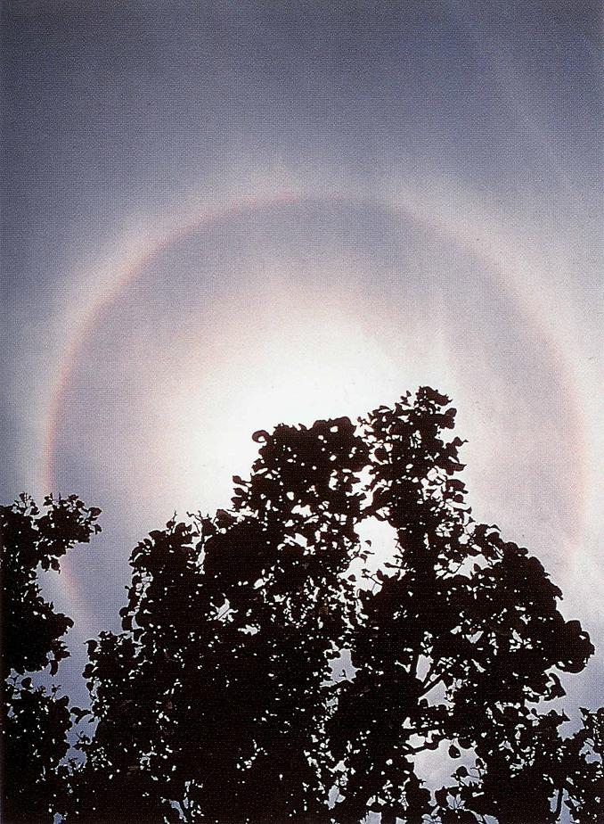 Wave Clouds 2, Gust Front, Clouds Altocumulus, Trail Clouds 2, Altostratus Clouds 2, Cumulonimbusincus with Mamma, Altocumulus Clouds 4, Clouds Cirrus, Clouds Nimbostratus, Clouds Altostratus, Cumulonimus well developed, Trail Clouds, Stratocumulus Clouds2, Sub Star, Altocumulus Clouds, Incus Clouds, Massive Cumuliform Clouds, Nacreous Clouds 2, Cloud Street, Altocumulusradiatus Clouds, Tuba Cloud, Mamma Cloud, Altocumulusstratiformis Clouds, Halo Cloud 2, CumuloNimbus Clouds, Precipitatio Clouds, Clouds Stratus, Watersprout Cloud, Cirriform Clouds, Banner Cloud, Nimbostratus Clouds, Sun Pillar Cloud, Arcus Cloud, Nacreous Clouds, Cloud to Ground Lightening Stroke, Stratocumulus Clouds, Subsun Cloud, Cirrostratus Clouds 2, Stratus Clouds 2, Cumulonimbus and Nimbostratus Clouds, Cumulus Clouds 2, Wave Clouds, Tuba Watersprout Cloud, Cirrus Cloud Shadows on Neptune, Clouds, Fogbow Cloud, Parhelic Circle Cloud, Winter Time Shower Clouds, Cirrostratus Clouds, Clouds Shadow, Cirrus Clouds 2, Stratus Clouds, Cirrocumulus Clouds 2, Lightening Stroke Across Thunderclouds, Cumulonimbus Cloud Massive, Altocumulus Clouds 3, Cumulus Clouds, Clouds Cirrostratus, Clouds Cumulus, Clouds Stratocumulus, Altocumulusperlucidus Clouds, Virga Clouds, Pileus Clouds, Fallstreak Cloud, Clouds on Earth, Jetstream Clouds, Jetstream Clouds 2, Altocumulusundulatus Cloud, Cumulonimbus Clouds Decaying, Mamma Cloud 2, Cumulus Clouds 3, Cirrocumulus Clouds, Cirrus Cloud, Clouds Cirrocumulus, Altocumulus Clouds 2, Multilevel Clouds, Altostratus Clouds, Layer of Cirrostratus Clouds, 