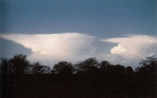 Banner Cloud, Fogbow Cloud, Altostratus Clouds 2, Clouds Cirrus, Mamma Cloud, Cumulonimbus Clouds Decaying, Wave Clouds 2, Jetstream Clouds 2, Clouds Cumulus, Cumulonimus well developed, Clouds Altocumulus, Fallstreak Cloud, Gust Front, Cumulus Clouds 2, Clouds on Earth, Sub Star, Cirrus Cloud, Clouds Stratocumulus, Cirrus Cloud Shadows on Neptune, Clouds Cirrocumulus, Nimbostratus Clouds, Altocumulusperlucidus Clouds, Altocumulus Clouds 2, Incus Clouds, Watersprout Cloud, Halo Cloud 2, Altocumulusstratiformis Clouds, Cirrocumulus Clouds 2, Cumulus Clouds 3, Tuba Cloud, Cirriform Clouds, Trail Clouds 2, Stratocumulus Clouds, Cirrostratus Clouds 2, Subsun Cloud, Altocumulusradiatus Clouds, Winter Time Shower Clouds, Virga Clouds, Clouds Cirrostratus, Arcus Cloud, Altocumulus Clouds 3, Pileus Clouds, Stratocumulus Clouds2, Clouds Stratus, Clouds Altostratus, Nacreous Clouds 2, Cloud to Ground Lightening Stroke, Nacreous Clouds, Cirrus Clouds 2, Mamma Cloud 2, Cloud Street, Layer of Cirrostratus Clouds, Jetstream Clouds, Lightening Stroke Across Thunderclouds, Precipitatio Clouds, Trail Clouds, Cirrocumulus Clouds, Cumulonimbus Cloud Massive, Cumulonimbusincus with Mamma, Cirrostratus Clouds, CumuloNimbus Clouds, Sun Pillar Cloud, Parhelic Circle Cloud, Altocumulusundulatus Cloud, Stratus Clouds 2, Cumulus Clouds, Clouds Shadow, Clouds Nimbostratus, Altostratus Clouds, Cumulonimbus and Nimbostratus Clouds, Altocumulus Clouds 4, Clouds, Altocumulus Clouds, Massive Cumuliform Clouds, Wave Clouds, Stratus Clouds, Tuba Watersprout Cloud, Multilevel Clouds, 