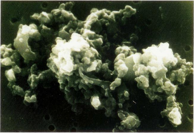 Halo Cloud, Crash Site of Shoemaker Levy Comet, Caloris Craterd Mercury, Rings of Saturn, Planet Uranus, Man Steps on Moon, Profile of a Galaxy, Volcanos on Mars, Saturn Image by Voyager, Uranium ore autunite, Eagle Nebula, Our Planet Earth, Hubble Image of Nebula 1, Surface of venus 2 photographed by Venera 13, Mars Global Surveyor, Hubble Image of Saturn, Supernova, Early Depiction of Comets, Galaxy M82, Multilevel Clouds, Comet Linear Break up 1, Watersprout Cloud, An Asteroid found on Earth, Charles Darwin, Lightening Stroke Across Thunderclouds, Craters on Eros, Moons of the Jupiter, Galaxy NGC 4526, Mariner10, Moon of Mars 1, Galaxy M1300, Galaxy Cluster 1, Mars Rift Valley, Global Mars, The Goddess Venus, Iguazu Falls Parguay, Asteroid Eros and Earth, Galactic Merger Computer Model 2, Kirkwood Gaps in Asteroid Belt, Tomographic Maps 50km, Medieval Painting of Comet, Heliosphere around the sun, Stratus Clouds, Ancient Maya Temple, Galaxy NGC 3314A, Boiling Nebula, Nebula, The Planet Jupiter, Andromeda Galaxy, Mars photographed 2 by Pathfinder, Colliding Galaxies 2, Cumulonimbus Clouds Decaying, Planet Neptune, Space Outer Limits 1, Warp Factor, Hollow center of Galaxy NGC 7052, Lunar Eclipse, Appollo 12 on Moon, Tarantula Nebula 2, Aurora of Sun, Mercury Surface, Galaxy NGC1365 1, Hubble Space Telescope under repair, Colliding Galaxies, Early View of Earth, Hertzsprung Russel Diagram, Eye of Jupiter, Triton Moon of Neptune, Galaxy NGC 1512, Life story of a star, Red Spider Nebula, Comet Linear Break up 2, Kitt Peak Arizona USA, Altocumulusundulatus Cloud, Surface of Mercury, Charles Messier Ferret of Comets, Saturn Moon Dione, M33 Constellation, Eagle Nebula Earth View, Mars View, M33 Constellation, Banner Cloud, Rock Formation Watercolour, Quasar PG 0052 2, Image of Sun, Galaxy M87, Galactic Merger Computer Model 2, Geologist on Moon, Cannibal Galaxy 2, Titan Moon of Saturn 2, Ganymede Jupiters Moon, Lunar Rock, Galaxy Compact Group 87 3, A Geologist on Moon, Virga Clouds, Galaxy M1300, Rock Left by Ice Sheet, Water on Mars, Clouds Nimbostratus, Omega Centauri Star Cluster, Asteroid Cluster, Galactic Merger, Mars Image, Orion Nebula, Star Death, Galaxy ESO 510 13, Galaxy M82, Earth Terestrial Sphere, Hot spots and plume tracks, Corona of Sun, Hubble Space Telescope image of Uranus, Titans Smog, Prehistoric Meteorite, Precipitatio Clouds, Picture of Mars Surface, Deep Sea Drilling Rig, Earth Terestrial Sphere, Quasar PG 0052, Clouds Altostratus, Cirrus Cloud Shadows on Neptune, Planet Mercury, Galaxy NGC 1512, Model of Uranus, Surface of Ganymede Jupiters Moon 2, Trifid Nebula, Volcanic Rocks, Supernova in making, Surface of Venus, 15 Century Astronomy, Cloud Street, Gust Front, Corona, Wairarapa Fault New Zealand, Tornado Tunnel, Galaxy M101, Plague by Flies, Star Formation, Venus2, Oort Cloud, Asteroid burns, Fossils, Cannibal Galaxy 2, Apollo 15 on Moon, Hollow center of Galaxy NGC 7052, Clouds Stratus, Mice Galaxy, Solar Flares Seismic Wave, Fossils of once living creatures in rocks, Mars Moons Asteroids, Clouds, Galactic Merger Computer Model 4, Tomographic Maps 250km, Galaxy Cluster 2, Mountains of Central Oman, Star Birth at Orion Nebula, Most known Halleys Comet, Solar System in Universe, Coastal Alaska, Cepheid, Colliding Galaxies 2, Ceres 940 km asteroid, Continent of Africa Seen from Space, Columbia Space Shuttle Launch 2002, Volcano Smoke seen from Space, Hubble Image of Nebula 2, Dione Moon of Saturn, Parhelic Circle Cloud, Lunar Eclipse 2, Solar System in Universe, Galaxy Compact Group 87 2, Mimas Moon of Saturn, Leonid Storm, Cumulonimbus and Nimbostratus Clouds, Edmond Halley, Space Photo, Image of the Sun, Comet Linear 2, Ice Flow on Europa, Cirrostratus Clouds 2, Fallstreak Cloud, Eagle Nebula Earth View, Comet in Night Sky, Altocumulus Clouds 4, Tycos Star, Iridescence 3, Boiling Nebula, Hollow center of Galaxy NGC 7052, Erruption over Io, Rainbow 2, Rainbow 3, Continents Through Time d, Bode, Jetstream Clouds, Pistol Nebula, Altocumulusradiatus Clouds, Cliff on Miranda, Galaxy Cluster 1, Galaxy M87, Southern Stars, Hydra Constellation, Starry Sky, Galaxy Cluster Abell 2218, Cartwheel Galaxy, Neptune 2, Galactic Merger, Star Cluster NGC 1850, Tethys Moon of Saturn, Evolution of Planet, Quasar PG 0052, Planet Venus Photographed by Pioneer, Mars Topographic Maps 3, Dome of a Telescope, Cumulonimbus Cloud Massive, Planets Orbits, Solar Eclipse, Apollo 15 Lunar Module, Nimbostratus Clouds, Comet Around Sun, Comet Swift Turtle 1992, Jupiters Moon Europas Icy Plains, Galaxy NGC 4603, Galaxy NGC2997, Galactic Merger, Solar Gas Eruptions, Sun path in Night Sky, Continents Lights from Space 1, Eskimo Nebula, Star Cluster NGC3293, Peak on Venus, Galactic Merger, Forged Iron Stone Meteorite, Star Death, Arcus Cloud, Galactic Jet Stream, Face on Mars, Cone Nebula, Mars Probe Viking, Iridescence 2, Mercury Basin, Hubble Space Telescope, Crater Copernicus on Moon, Himalaya Tibet from Space, Lauterbrunnen Valley Switzerland, Colliding Galaxies, Earthquake Hit Middleton Island Alaska, Galaxy NGC2997, Our Earth, Saturns Rings, Winter Time Shower Clouds, Galaxy NGC1365 1, Galaxy Sombrero M104, Martian Meteorite, Solar Flare, North Pole of Mars, Venus, Astronuat Apollo 11 on Moon, Tectonic Plates Motion, Lowell Crater Mars, Star Cluster NGC2264, Eagle Nebula, Surface of Moon, Helix Nebula, Cirrocumulus Clouds 2, Cumulus Clouds, Zanskar High Himalayas, Quasar 3C 273, Solar Gas Eruptions, Kuiper Belt and Oort Cloud of the Sun, Galactic Merger Computer Model 4, Cratered Moon, Quasar PG 0052 3, Star Birth at Orion Nebula, Sun Spot Prominence 1, Earth and Venus, Galaxy Cluster 4, Nebula NGC604, Volcanic Rocks Barberton, Volcanic Regions, Red Eye of Jupiter, Clouds Cirrostratus, Cone Nebula, Horsehead Nebula, Ancient Calender, Cannibal Galaxy 2, CumuloNimbus Clouds, Mars Exploration Rovers, Map of the Mars, Zanskar High Himalayas, Large Binolular Telescope, Mir Space Station, Earth and Neptune, Altocumulusstratiformis Clouds, Crater Copernicus on Moon 2, Cannibal Galaxy 1, Planel Pluto, Halleys Last Round of Earth, Galaxy NGC4414, Appollo 12 on Moon, Rainbow, Hollow center of Galaxy NGC 7052, Orion Nebula, Wave Clouds, Galaxy Compact Group 87 1, Model of Chicxulub Crater, Mars Probe Mariner 9, Earth and Mercury, Horsehead Nebula, Subsun Cloud, Sonar Image Costal Oregon, Enceladus Moon of Saturn, Rings of the Saturn, Comet breaks up, Hubble Image of Nebula 2, Polar Poser Galaxy, Whirlpool Galaxy, Planets Orbits Diagram, Earth and Pluto, Mars Pathfinder Landing Site, Dinosaur watches Comet, Star Cluster 2, Galaxy NGC1365 2, Earth Seen from Space, Meteored Surface of Mars, Seyfert Galaxies, Galactic Jet Stream, Volcano Kilauea Hawaii Lava River, Nacreous Clouds, Oort Cloud Impression, Gaspra Asteroid, Galaxy NGC4414, Star Formation, Planet Jupiter, Galaxy M101, Galactic Merger Computer Model 3, Star Cluster NGC2264, Colliding Galaxies 2, Galactic Merger, Ancient Supernova, Volcano Kilauea Hawaii, Geology of Jupiters Moon Europa, Fogbow Cloud, The Jupiters Aurora, NEAR Spacecraft orbiting Eros Asteroid, Bubble of Gas from Sun, Astronomers, Phobos Asteroid Captured on Mars, Sun Spot Prominence 2, Seven Sisters, Landscape of Venus, Rings of Neptune, Eskimo Nebula, Iapetus Moon of Saturn, Cumulonimus well developed, Surface of Ganymede Jupiters Moon 3, Chiron Comet Asteroid Minor Planet, Blob Nebula, Titan Moon of Saturn, Intersteller Gas Clouds, Ozone Hole, Barberton Greenstone Belt Africa, Quasar PG 0052 2, Eros, Viking 2 Lander Image of Mars, Astronomers 2, Glacial Remains Greenland, Galactic Merger, Mariner 9 view of Mars, Galactic Merger Computer Model 2, Our Earth Net, Voyager 2, Pluto and its moon Charon, Cirriform Clouds, Jetstream Clouds 2, Cirrocumulus Clouds, Cumulonimbusincus with Mamma, Continents Through Time b, Meteorite, Galaxy Cluster 3, Galaxy NGC2997, Veil Nebula, Surface of venus photographed by Venera 13, Tibet Plateau High Desert, Micro Fossils on Mars, 2 ton Asteroid Magnified view, Saturn Moon Lapeteus, Sub Star, Alaskan Earthquake town Portage, Globular Cluster NGC 6934, Continents Through Time c, King Cone Mars, Death of King Arthur, Twins 1998 WW31, Continents Through Time a, Arizona Crator by Meteorite Strike, Giotto Space Probe, Solar Flare, Halo Cloud 2, Halleys Comet in 1910, Cirrostratus Clouds, Jupiters Moon and Earth, Cracks and Ridges on Europa, 18 Century Painting of Comet Goddess, Southern Stars, Galactic Merger Computer Model 1, Helix Nebula, Africa Seen from Space, Planet Saturn, Tarantula Nebula 2, Rover on Mars, Internal Construction of Telescope, Cannibal Galaxy 1, The Moon, Nasa Saturn Explorer Cassini, Sun Spots 2, Io Moon of Jupiter, Stratocumulus Clouds2, Tibet Plateau High Desert, Altocumulus Clouds, Galactic Merger Computer Model 1, Clouds Cirrocumulus, Size of Sun, Moon of Mars 2, sedimentary rocks on earth, Core of Halleys Comet, Mars 2, Space Ready Astronaut, Leonid Meteor Shower, Quasar PG 0052, Solar Flares Seismic Wave, Very Large Telescope Chile, Mars photographed by Pathfinder, Earth and Mars, Comet Hits on Ganymede, Quasar PG 0052 3, Active Volcano Andes Bolivia, Impact Scar on Callisto, Disc of the Sun, Earth and Jupiter, Space Shuttle Atlantis, Tomographic Maps 750km, 15 Century Painting of Halleys Comet, Comet Linear 1, Dark Street on Mars, Sun Spots, Mars Topographic Maps 1, IRAS and another Kuiper Belt, Mars Pathfinder, Mamma Cloud, Cirrus Cloud, Cirrus Clouds 2, Atmosphere of the Jupiter, Mars Express Spacecraft, Clouds Cirrus, Echo Sounder Chart, Altostratus Clouds 2, Cumulus Clouds 3, Galaxy NGC4414, Cumulus Clouds 2, Voyager Spacecraft, Planet in Space, Clouds Shadow, Hubble Image of Neptune, Altocumulus Clouds 3, Asteroid Icarus orbits around sun, Star Cluster 2, Quasar PG 0052 3, Cartwheel Galaxy, Starry Clouds of Magellan, the Large Magellan Cloud, resolves into a swell of starlight festooned with pink gas clouds., Pistol Nebula, Comet, Continents Lights from Space 2, Globular Cluster NGC 6934, Nebula, Star Cluster 1, Earth Rise on Moon, Planet Neptune 2, Mars Topographic Maps 2, Earth and Moon, Early View of Halleys Comet, Galaxy Cluster 4, Crater on Mars, Halleys Comet from Australia, Cloud to Ground Lightening Stroke, The Crab Nebula, Quasar PG 0052 2, Mercury photographed by Mariner 10, Incus Clouds, Aurora from Space, Cratered Mercury, Cepheid, Hydra Constellation, Cannibal Galaxy 1, Galaxy NGC 3314A, Iridescence, Galaxy Sombrero M104, Earth Magnetic Field, Tuba Watersprout Cloud, Altocumulus Clouds 2, Nebula NGC604, Galaxy NGC 4603, Glacial Remains Greenland, Ganymede Moon of Jupiter, 35 Mile Asteroid Ida, Stratus Clouds 2, Miranda Moon of Uranus, Clouds Stratocumulus, Venus1, Asteroid Vesta, Star Cluster NGC 1850, Planets Orbits and Asteroid Belt, Comet Linear 3, Model of Europas Interior, Mariner 4 View of Mars, International Space Station, Galactic Merger Computer Model 3, Volcanoes of Andes from space, Large Craters on Venus, Zanskar High Himalayas, Earth Moon, Comets Impact Sites on Jupiter, Blob Nebula, Clouds Altocumulus, Life on Mars, Tarantula Nebula, Supenova remains, Mars Photographed by Viking Orbiter, Orbits of Mars and Earth, Massive Cumuliform Clouds, Prehistoric Quebec Carter from Space, Andromeda Galaxy, Mamma Cloud 2, Galactic Merger Computer Model 3, Dust Devil, Hubble Image of Nebula 1, Deep Space, Tarantula Nebula, Surface of Ganymede Jupiters Moon, Trail Clouds, Olympas Mans Mars Volcano, German Painting Depicting Catastrophes, Early Solar System, Earth and Uranus, Callisto moon of Jupiter, Pileus Clouds, Cratered Mercury 1, Star Cluster NGC3293, Ida, Comet Colour Profile, Meteor burning thru open lense, Wave Clouds 2, Galactic Merger Computer Model 1, Galaxy NGC1365 2, Mars Odyssey Spacecraft, Both sides of Moon, Volcanic Pollution 2, Earth and Saturn, Stratocumulus Clouds, Galactic Merger, Colliding Galaxies, Karl Gauss Astronomer, Surface of Venus Magellan, Whirlpool Galaxy, Jupiters Atmosphere, IDA Asteroid, Lava Flow on Venus, Trifid Nebula, Double Rainbow, Volcanic eruption on Io Jupiters Moon, Corona 2, Mock Moon, Star Cluster 1, Galaxy Cluster Abell 2218, Galaxy NGC 1512, Red Spider Nebula, Plank Spacecraft, Galaxy NGC1365 2, Galaxy M83, Moons of Jupiter, Space Outer Limits 2, Charon Moon of Pluto, Galaxy Cluster 3, Galaxy Cluster Abell 2218, Galaxy M87, Galactic Merger Computer Model 4, Weather on Venus, Cartwheel Galaxy, Andromeda Galaxy, Galaxy Cluster 2, Altostratus Clouds, Trail Clouds 2, Volcanic Pollution 1, Altocumulusperlucidus Clouds, Galaxy M1300, Moons of the Jupiter2, Model of Neptune, Viking Lander Photo of Mars, Oort Cloud of the Sun and Milky Way, Tuba Cloud, Viking 2 Image, Prehistoric Meteorite in Namibia, Sun Pillar Cloud, Planets Terrestrial Plates, Clouds Cumulus, Meteor Strike, Clouds on Mars, Veil Nebula, Europa Moon of Jupiter, Crater on Callisto Jupiters Moon, Galaxy M101, Disc of the Sun, Galaxy M82, Nacreous Clouds 2, Granite Rock under Microscope, Space Photo, Satelite Imaging, Halleys Comet Star of Bethlehem, Mars, Hale Bopp over Stonehenge, Nucleus of Comet, Lunar Rover Apollo 15, Hale Bopp Comet, Rock from Mars, Shoemaker Levy 9 Breaking up, Active Volcano Crater, Layer of Cirrostratus Clouds, The Crab Nebula, Meteorite from Mars, Galaxy NGC1365 1, 