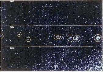 Jupiters Moon and Earth, Erruption over Io, Ganymede Jupiters Moon, Model of Europas Interior, Red Eye of Jupiter, Craters on Eros, Eye of Jupiter, Surface of Ganymede Jupiters Moon, Callisto moon of Jupiter, Ganymede Moon of Jupiter, Karl Gauss Astronomer, Jupiters Moon Europas Icy Plains, Planet Jupiter, The Planet Jupiter, Moons of Jupiter, The Jupiters Aurora, Io Moon of Jupiter, Cracks and Ridges on Europa, Atmosphere of the Jupiter, Crater on Callisto Jupiters Moon, Surface of Ganymede Jupiters Moon 3, Jupiters Atmosphere, Moons of the Jupiter, Planet Jupiter, Planet God of Wisdom, Europa Moon of Jupiter, Impact Scar on Callisto, Geology of Jupiters Moon Europa, Volcanic eruption on Io Jupiters Moon, Moons of the Jupiter2, Surface of Ganymede Jupiters Moon 2, Ice Flow on Europa, 
