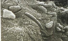 Moon of Mars 1, Micro Fossils on Mars, Mars photographed by Pathfinder, Meteored Surface of Mars, Mars Topographic Maps 1, Mars Exploration Rovers, Viking 2 Lander Image of Mars, Mars Probe Viking, Mars photographed 2 by Pathfinder, Mars, Mars Pathfinder Landing Site, Crater on Mars, Viking 2 Image, Global Mars, Mars 2, Moon of Mars 2, Rock from Mars, Clouds on Mars, Mars Topographic Maps 3, Mars Photographed by Viking Orbiter, Map of the Mars, Face on Mars, Mars Image, Olympas Mans Mars Volcano, Viking Lander Photo of Mars, Orbits of Mars and Earth, Mars Global Surveyor, Rover on Mars, Mars Pathfinder, Water on Mars, Mars Odyssey Spacecraft, North Pole of Mars, Picture of Mars Surface, King Cone Mars, Mars Moons Asteroids, Mars View, Mars Probe Mariner 9, Meteorite from Mars, Phobos Asteroid Captured on Mars, Mars Rift Valley, Mariner 9 view of Mars, Planet Mars, Planet God of War, Dark Street on Mars, Mars Express Spacecraft, Meteorite, Mariner 4 View of Mars, Lowell Crater Mars, Martian Meteorite, Mars Topographic Maps 2, Meteor Strike, Life on Mars, 