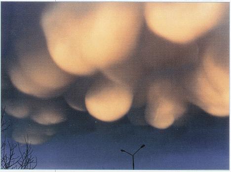 Altostratus Clouds, Subsun Cloud, Mamma Cloud 2, Wave Clouds, Cumulonimus well developed, Arcus Cloud, Stratocumulus Clouds, Fogbow Cloud, Trail Clouds, Cumulonimbus and Nimbostratus Clouds, Layer of Cirrostratus Clouds, Mamma Cloud, Altostratus Clouds 2, Halo Cloud 2, Clouds Stratus, Clouds on Earth, Clouds, Cloud Street, Lightening Stroke Across Thunderclouds, Nacreous Clouds 2, Altocumulus Clouds 3, Clouds Cumulus, Altocumulus Clouds 4, Nacreous Clouds, Altocumulusundulatus Cloud, Virga Clouds, Nimbostratus Clouds, Altocumulus Clouds, Altocumulus Clouds 2, Cumulus Clouds, Cirrocumulus Clouds, Stratocumulus Clouds2, Cirrus Cloud Shadows on Neptune, Incus Clouds, Cumulonimbusincus with Mamma, Fallstreak Cloud, Pileus Clouds, Trail Clouds 2, Tuba Cloud, Winter Time Shower Clouds, Altocumulusstratiformis Clouds, Multilevel Clouds, Massive Cumuliform Clouds, Gust Front, Clouds Cirrus, Cirrostratus Clouds 2, Stratus Clouds 2, Cirriform Clouds, Wave Clouds 2, Cumulus Clouds 3, Cirrostratus Clouds, Cloud to Ground Lightening Stroke, Clouds Stratocumulus, Clouds Altocumulus, Clouds Cirrostratus, Sub Star, Altocumulusradiatus Clouds, Tuba Watersprout Cloud, Banner Cloud, Cirrus Cloud, Parhelic Circle Cloud, Jetstream Clouds 2, Stratus Clouds, Cumulus Clouds 2, Jetstream Clouds, Clouds Nimbostratus, Clouds Cirrocumulus, CumuloNimbus Clouds, Clouds Altostratus, Sun Pillar Cloud, Watersprout Cloud, Cumulonimbus Cloud Massive, Cirrocumulus Clouds 2, Precipitatio Clouds, Cirrus Clouds 2, Clouds Shadow, Cumulonimbus Clouds Decaying, Altocumulusperlucidus Clouds, 