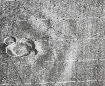 Meteorite from Mars, Mars 2, Moon of Mars 1, Crater on Mars, Rover on Mars, Water on Mars, Mars, Olympas Mans Mars Volcano, Life on Mars, Mars Probe Mariner 9, Mars Express Spacecraft, Orbits of Mars and Earth, Lowell Crater Mars, Global Mars, Meteor Strike, Micro Fossils on Mars, Moon of Mars 2, Mars Rift Valley, Mars Probe Viking, Mars Odyssey Spacecraft, Mars Global Surveyor, Clouds on Mars, Viking 2 Image, Mars Exploration Rovers, Meteored Surface of Mars, Mars photographed by Pathfinder, Face on Mars, Mars Image, Mars Pathfinder Landing Site, Picture of Mars Surface, Martian Meteorite, Mars Pathfinder, Mars photographed 2 by Pathfinder, North Pole of Mars, Mars Topographic Maps 2, Mariner 9 view of Mars, Rock from Mars, Mars Topographic Maps 3, Phobos Asteroid Captured on Mars, Mariner 4 View of Mars, King Cone Mars, Mars Topographic Maps 1, Mars Moons Asteroids, Viking Lander Photo of Mars, Map of the Mars, Planet Mars, Planet God of War, Dark Street on Mars, Viking 2 Lander Image of Mars, Mars Photographed by Viking Orbiter, Mars View, Meteorite, 