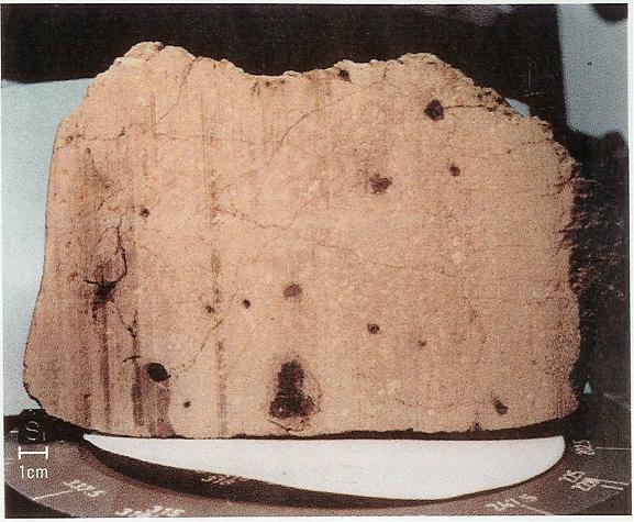 Olympas Mans Mars Volcano, North Pole of Mars, Mars Rift Valley, Dark Street on Mars, Mars Topographic Maps 1, Mars Exploration Rovers, King Cone Mars, Mariner 9 view of Mars, Phobos Asteroid Captured on Mars, Crater on Mars, Mars, Moon of Mars 2, Meteored Surface of Mars, Meteorite, Viking 2 Image, Mars Image, Meteor Strike, Micro Fossils on Mars, Clouds on Mars, Martian Meteorite, Picture of Mars Surface, Meteorite from Mars, Viking 2 Lander Image of Mars, Mars Odyssey Spacecraft, Mars photographed by Pathfinder, Mars View, Rock from Mars, Mars Express Spacecraft, Mars Probe Mariner 9, Planet Mars, Planet God of War, Mars Pathfinder, Mars Moons Asteroids, Mars photographed 2 by Pathfinder, Map of the Mars, Life on Mars, Mars Probe Viking, Mars Topographic Maps 3, Mars Global Surveyor, Mars 2, Orbits of Mars and Earth, Lowell Crater Mars, Water on Mars, Mars Topographic Maps 2, Global Mars, Face on Mars, Mariner 4 View of Mars, Viking Lander Photo of Mars, Mars Photographed by Viking Orbiter, Rover on Mars, Mars Pathfinder Landing Site, Moon of Mars 1, 