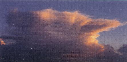 Cloud Street, Wave Clouds 2, Cirrus Clouds 2, Cumulonimbusincus with Mamma, Clouds Altostratus, Watersprout Cloud, Trail Clouds, Clouds Altocumulus, Winter Time Shower Clouds, Altocumulusstratiformis Clouds, Tuba Cloud, Cirrocumulus Clouds, Cumulonimbus and Nimbostratus Clouds, Cumulus Clouds, Stratus Clouds, Virga Clouds, Clouds Stratus, Stratocumulus Clouds2, Incus Clouds, Clouds Stratocumulus, Clouds on Earth, Jetstream Clouds, Altostratus Clouds 2, Gust Front, Stratus Clouds 2, Multilevel Clouds, Clouds Cirrostratus, Parhelic Circle Cloud, Precipitatio Clouds, Cumulonimbus Clouds Decaying, Nacreous Clouds 2, Cumulonimbus Cloud Massive, Banner Cloud, CumuloNimbus Clouds, Nacreous Clouds, Cumulonimus well developed, Wave Clouds, Cirrostratus Clouds, Altostratus Clouds, Arcus Cloud, Nimbostratus Clouds, Halo Cloud 2, Cirrus Cloud Shadows on Neptune, Layer of Cirrostratus Clouds, Massive Cumuliform Clouds, Clouds, Altocumulus Clouds 3, Altocumulusundulatus Cloud, Clouds Cirrus, Cirrus Cloud, Mamma Cloud 2, Altocumulus Clouds 4, Altocumulus Clouds, Sub Star, Cirrostratus Clouds 2, Altocumulusradiatus Clouds, Cumulus Clouds 3, Altocumulusperlucidus Clouds, Jetstream Clouds 2, Cirriform Clouds, Altocumulus Clouds 2, Sun Pillar Cloud, Cirrocumulus Clouds 2, Fogbow Cloud, Pileus Clouds, Clouds Cumulus, Fallstreak Cloud, Cumulus Clouds 2, Clouds Cirrocumulus, Stratocumulus Clouds, Mamma Cloud, Tuba Watersprout Cloud, Clouds Nimbostratus, Clouds Shadow, Trail Clouds 2, Subsun Cloud, Cloud to Ground Lightening Stroke, Lightening Stroke Across Thunderclouds, 