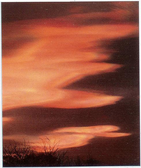 Virga Clouds, Trail Clouds, Mamma Cloud, Jetstream Clouds, Cirrostratus Clouds, Cirrocumulus Clouds, Cirrus Cloud, Altocumulus Clouds 2, Clouds Stratocumulus, Subsun Cloud, Gust Front, Cirrus Clouds 2, Clouds Nimbostratus, Altocumulus Clouds 3, Stratus Clouds 2, Sun Pillar Cloud, Nimbostratus Clouds, Stratus Clouds, Lightening Stroke Across Thunderclouds, Cumulus Clouds, Cirrocumulus Clouds 2, Tuba Cloud, Cumulus Clouds 3, CumuloNimbus Clouds, Parhelic Circle Cloud, Clouds Cirrocumulus, Sub Star, Watersprout Cloud, Halo Cloud 2, Trail Clouds 2, Cumulonimbus and Nimbostratus Clouds, Cumulonimbus Clouds Decaying, Clouds Cirrus, Clouds Shadow, Altostratus Clouds, Arcus Cloud, Fallstreak Cloud, Winter Time Shower Clouds, Mamma Cloud 2, Stratocumulus Clouds, Cloud Street, Cloud to Ground Lightening Stroke, Cirrus Cloud Shadows on Neptune, Fogbow Cloud, Altocumulusperlucidus Clouds, Jetstream Clouds 2, Clouds Stratus, Stratocumulus Clouds2, Altocumulus Clouds, Banner Cloud, Clouds, Altocumulusstratiformis Clouds, Cirriform Clouds, Clouds Altocumulus, Altocumulusradiatus Clouds, Layer of Cirrostratus Clouds, Clouds on Earth, Clouds Altostratus, Incus Clouds, Precipitatio Clouds, Wave Clouds 2, Cirrostratus Clouds 2, Altostratus Clouds 2, Cumulus Clouds 2, Altocumulus Clouds 4, Pileus Clouds, Multilevel Clouds, Cumulonimbusincus with Mamma, Clouds Cirrostratus, Clouds Cumulus, Nacreous Clouds, Cumulonimus well developed, Massive Cumuliform Clouds, Nacreous Clouds 2, Tuba Watersprout Cloud, Cumulonimbus Cloud Massive, Altocumulusundulatus Cloud, Wave Clouds, 