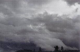 Altocumulus Clouds 3, Gust Front, Cirrostratus Clouds 2, Cloud Street, Trail Clouds 2, Clouds Cirrostratus, Wave Clouds 2, Tuba Watersprout Cloud, Arcus Cloud, Altostratus Clouds 2, Nimbostratus Clouds, Stratus Clouds, Jetstream Clouds 2, Mamma Cloud, Virga Clouds, Clouds Altocumulus, Cloud to Ground Lightening Stroke, Nacreous Clouds, Trail Clouds, Cirrostratus Clouds, Clouds, Stratocumulus Clouds, Lightening Stroke Across Thunderclouds, Pileus Clouds, Mamma Cloud 2, Wave Clouds, Sub Star, Altocumulus Clouds 4, Clouds Stratus, Altocumulusstratiformis Clouds, Cumulonimus well developed, Massive Cumuliform Clouds, Clouds on Earth, Cirrus Cloud Shadows on Neptune, Cirrocumulus Clouds 2, Clouds Nimbostratus, Sun Pillar Cloud, Parhelic Circle Cloud, Banner Cloud, Nacreous Clouds 2, Fogbow Cloud, Altocumulusperlucidus Clouds, Cumulus Clouds 2, Cumulus Clouds 3, Cirriform Clouds, Layer of Cirrostratus Clouds, Clouds Cirrocumulus, Clouds Shadow, Multilevel Clouds, Cumulonimbus Clouds Decaying, Cirrus Clouds 2, Clouds Stratocumulus, Tuba Cloud, Altocumulus Clouds, Cumulus Clouds, CumuloNimbus Clouds, Cumulonimbus Cloud Massive, Altocumulus Clouds 2, Cirrocumulus Clouds, Stratus Clouds 2, Subsun Cloud, Cumulonimbus and Nimbostratus Clouds, Altocumulusradiatus Clouds, Altostratus Clouds, Stratocumulus Clouds2, Clouds Cumulus, Cirrus Cloud, Precipitatio Clouds, Fallstreak Cloud, Clouds Altostratus, Jetstream Clouds, Winter Time Shower Clouds, Incus Clouds, Halo Cloud 2, Cumulonimbusincus with Mamma, Clouds Cirrus, Altocumulusundulatus Cloud, Watersprout Cloud, 