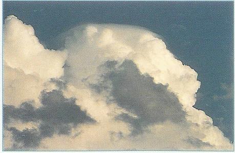 Cloud to Ground Lightening Stroke, Banner Cloud, Precipitatio Clouds, Sun Pillar Cloud, Subsun Cloud, Stratus Clouds, Clouds, Cirrocumulus Clouds, Cumulus Clouds 3, Altostratus Clouds 2, Mamma Cloud 2, Cumulus Clouds 2, Cirrostratus Clouds 2, Clouds Cumulus, Fogbow Cloud, Wave Clouds 2, Halo Cloud 2, Clouds Stratus, Cumulonimbus Clouds Decaying, CumuloNimbus Clouds, Cumulonimbus and Nimbostratus Clouds, Incus Clouds, Altocumulus Clouds, Cumulonimbusincus with Mamma, Cirrus Cloud, Cirrus Clouds 2, Tuba Watersprout Cloud, Jetstream Clouds, Clouds Altostratus, Clouds Cirrocumulus, Virga Clouds, Cumulus Clouds, Parhelic Circle Cloud, Sub Star, Cirriform Clouds, Multilevel Clouds, Cirrostratus Clouds, Altostratus Clouds, Cloud Street, Cirrus Cloud Shadows on Neptune, Tuba Cloud, Jetstream Clouds 2, Nacreous Clouds, Lightening Stroke Across Thunderclouds, Clouds Nimbostratus, Cumulonimbus Cloud Massive, Altocumulus Clouds 4, Nacreous Clouds 2, Clouds Cirrostratus, Fallstreak Cloud, Wave Clouds, Clouds Stratocumulus, Stratocumulus Clouds2, Stratus Clouds 2, Clouds on Earth, Gust Front, Altocumulus Clouds 3, Altocumulusundulatus Cloud, Altocumulusperlucidus Clouds, Massive Cumuliform Clouds, Stratocumulus Clouds, Trail Clouds, Arcus Cloud, Trail Clouds 2, Altocumulusradiatus Clouds, Cirrocumulus Clouds 2, Clouds Altocumulus, Nimbostratus Clouds, Watersprout Cloud, Winter Time Shower Clouds, Clouds Shadow, Cumulonimus well developed, Clouds Cirrus, Altocumulusstratiformis Clouds, Pileus Clouds, Altocumulus Clouds 2, Mamma Cloud, Layer of Cirrostratus Clouds, 