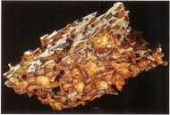 An Asteroid found on Earth, 35 Mile Asteroid Ida, Meteor burning thru open lense, Prehistoric Quebec Carter from Space, Eros, Asteroids in Solar System, Ceres 940 km asteroid, Ida, NEAR Spacecraft orbiting Eros Asteroid, Prehistoric Meteorite in Namibia, Leonid Storm, Gaspra Asteroid, Forged Iron Stone Meteorite, Asteroid Icarus orbits around sun, Leonid Meteor Shower, 2 ton Asteroid Magnified view, Asteroid Vesta, Asteroid burns, Arizona Crator by Meteorite Strike, Asteroid Eros and Earth, Kirkwood Gaps in Asteroid Belt, IDA Asteroid, Model of Chicxulub Crater, Prehistoric Meteorite, 