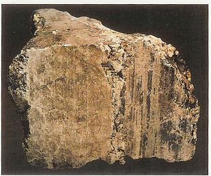 North Pole of Mars, Mars Topographic Maps 2, Life on Mars, Global Mars, Viking 2 Lander Image of Mars, Picture of Mars Surface, Mars Global Surveyor, Lowell Crater Mars, Mars Pathfinder, Mars Moons Asteroids, King Cone Mars, Mars Photographed by Viking Orbiter, Dark Street on Mars, Mars Exploration Rovers, Map of the Mars, Mars View, Mars Pathfinder Landing Site, Moon of Mars 2, Mars Express Spacecraft, Meteorite from Mars, Mars Odyssey Spacecraft, Clouds on Mars, Mars Image, Viking 2 Image, Mariner 9 view of Mars, Meteorite, Face on Mars, Viking Lander Photo of Mars, Meteored Surface of Mars, Rock from Mars, Mars photographed by Pathfinder, Meteor Strike, Micro Fossils on Mars, Mariner 4 View of Mars, Mars Rift Valley, Mars 2, Mars Topographic Maps 1, Crater on Mars, Water on Mars, Rover on Mars, Martian Meteorite, Mars photographed 2 by Pathfinder, Planet Mars, Planet God of War, Phobos Asteroid Captured on Mars, Orbits of Mars and Earth, Mars Probe Viking, Mars Topographic Maps 3, Moon of Mars 1, Mars, Olympas Mans Mars Volcano, Mars Probe Mariner 9, 