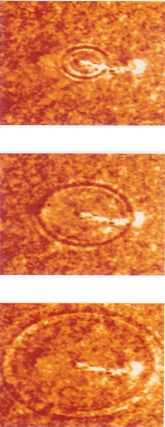 Solar Flares Seismic Wave, Solar Flare, Solar Flare, Nature of energy and radiations from the Sun, Solar Gas Eruptions, 