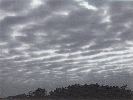 Cirrus Clouds 2, Altocumulusstratiformis Clouds, Stratus Clouds, Halo Cloud 2, Cirrostratus Clouds 2, Altostratus Clouds, Parhelic Circle Cloud, Cirrus Cloud, Altocumulusradiatus Clouds, Cirrus Cloud Shadows on Neptune, Wave Clouds, Jetstream Clouds, Cumulonimbusincus with Mamma, Clouds Altostratus, Clouds Cirrocumulus, Gust Front, Sun Pillar Cloud, Mamma Cloud 2, Altocumulus Clouds 3, Cumulonimbus Cloud Massive, Clouds Stratus, Banner Cloud, Watersprout Cloud, Altocumulus Clouds, Stratus Clouds 2, Clouds Cirrostratus, Cumulus Clouds 3, Clouds Cirrus, Trail Clouds 2, CumuloNimbus Clouds, Precipitatio Clouds, Altocumulus Clouds 4, Pileus Clouds, Subsun Cloud, Nacreous Clouds 2, Wave Clouds 2, Clouds, Jetstream Clouds 2, Cloud Street, Altocumulusundulatus Cloud, Altocumulus Clouds 2, Clouds Nimbostratus, Trail Clouds, Massive Cumuliform Clouds, Clouds Stratocumulus, Cumulonimbus Clouds Decaying, Cumulus Clouds 2, Cirrocumulus Clouds, Multilevel Clouds, Cirrostratus Clouds, Cumulonimbus and Nimbostratus Clouds, Clouds Shadow, Cumulus Clouds, Mamma Cloud, Virga Clouds, Nacreous Clouds, Cloud to Ground Lightening Stroke, Tuba Cloud, Nimbostratus Clouds, Arcus Cloud, Fallstreak Cloud, Fogbow Cloud, Clouds Cumulus, Clouds Altocumulus, Lightening Stroke Across Thunderclouds, Sub Star, Altocumulusperlucidus Clouds, Stratocumulus Clouds, Stratocumulus Clouds2, Incus Clouds, Cumulonimus well developed, Clouds on Earth, Altostratus Clouds 2, Cirriform Clouds, Cirrocumulus Clouds 2, Tuba Watersprout Cloud, Layer of Cirrostratus Clouds, Winter Time Shower Clouds, 