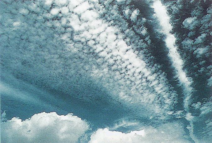 Altocumulusperlucidus Clouds, Cumulus Clouds 3, Cirrostratus Clouds, Massive Cumuliform Clouds, Cumulus Clouds, Jetstream Clouds 2, Layer of Cirrostratus Clouds, Clouds Cumulus, Cirrus Cloud, Nacreous Clouds, Banner Cloud, Precipitatio Clouds, Stratus Clouds, Nacreous Clouds 2, Wave Clouds, Cirrus Clouds 2, Cloud to Ground Lightening Stroke, Trail Clouds, Cumulonimus well developed, Pileus Clouds, Incus Clouds, Clouds Altocumulus, Altocumulus Clouds 3, Tuba Cloud, CumuloNimbus Clouds, Watersprout Cloud, Cumulus Clouds 2, Clouds on Earth, Sun Pillar Cloud, Cirrocumulus Clouds, Altocumulusundulatus Cloud, Altocumulusstratiformis Clouds, Stratocumulus Clouds2, Clouds Stratus, Cirrus Cloud Shadows on Neptune, Parhelic Circle Cloud, Fogbow Cloud, Mamma Cloud, Altostratus Clouds, Cirrostratus Clouds 2, Altocumulus Clouds 4, Clouds Shadow, Gust Front, Cumulonimbusincus with Mamma, Winter Time Shower Clouds, Halo Cloud 2, Nimbostratus Clouds, Wave Clouds 2, Cirriform Clouds, Jetstream Clouds, Clouds Cirrostratus, Cloud Street, Cumulonimbus and Nimbostratus Clouds, Altocumulus Clouds, Fallstreak Cloud, Subsun Cloud, Altocumulus Clouds 2, Clouds Stratocumulus, Altostratus Clouds 2, Clouds, Stratus Clouds 2, Altocumulusradiatus Clouds, Mamma Cloud 2, Clouds Altostratus, Cumulonimbus Clouds Decaying, Stratocumulus Clouds, Multilevel Clouds, Sub Star, Clouds Nimbostratus, Cirrocumulus Clouds 2, Trail Clouds 2, Tuba Watersprout Cloud, Clouds Cirrocumulus, Virga Clouds, Cumulonimbus Cloud Massive, Clouds Cirrus, Lightening Stroke Across Thunderclouds, Arcus Cloud, 