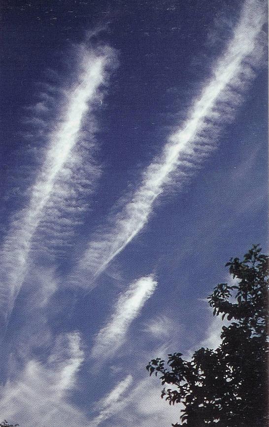 Altocumulus Clouds 3, Altocumulusundulatus Cloud, Clouds Cirrus, Clouds Cumulus, Cumulonimbus Cloud Massive, Cumulonimbus Clouds Decaying, Cirrocumulus Clouds 2, Jetstream Clouds 2, Clouds Cirrocumulus, Cirrus Cloud Shadows on Neptune, Sun Pillar Cloud, Clouds Stratocumulus, Clouds Stratus, Cumulus Clouds 2, Cirrostratus Clouds 2, Sub Star, Nacreous Clouds, Cirrostratus Clouds, Cirrus Cloud, Banner Cloud, Tuba Cloud, Nacreous Clouds 2, Cirriform Clouds, Cumulonimbusincus with Mamma, Altocumulusradiatus Clouds, Winter Time Shower Clouds, Nimbostratus Clouds, Clouds Shadow, Mamma Cloud, Wave Clouds, Cloud Street, Trail Clouds 2, Jetstream Clouds, Altostratus Clouds 2, Altocumulus Clouds 2, Clouds, Tuba Watersprout Cloud, Fogbow Cloud, Massive Cumuliform Clouds, Trail Clouds, Clouds on Earth, Stratus Clouds, Cumulus Clouds 3, Altocumulus Clouds 4, Cirrocumulus Clouds, Altocumulusperlucidus Clouds, Incus Clouds, Clouds Cirrostratus, Halo Cloud 2, Mamma Cloud 2, Stratus Clouds 2, Cumulus Clouds, Precipitatio Clouds, Altostratus Clouds, Altocumulusstratiformis Clouds, Cumulonimbus and Nimbostratus Clouds, Subsun Cloud, Stratocumulus Clouds2, Stratocumulus Clouds, Gust Front, Lightening Stroke Across Thunderclouds, Layer of Cirrostratus Clouds, Cumulonimus well developed, Watersprout Cloud, Parhelic Circle Cloud, Cirrus Clouds 2, Fallstreak Cloud, Wave Clouds 2, Arcus Cloud, CumuloNimbus Clouds, Pileus Clouds, Clouds Nimbostratus, Altocumulus Clouds, Clouds Altocumulus, Clouds Altostratus, Virga Clouds, Cloud to Ground Lightening Stroke, Multilevel Clouds, 
