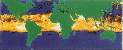 Volcanic Pollution 1, Volcano Kilauea Hawaii Lava River, Volcanic Rocks, Echo Sounder Chart, Earth Quakes, Volcanoes, Lava And Nature 's Fury, Volcanic Pollution 2, Volcanic Rocks Barberton, Volcanoes of Andes from space, Volcano Kilauea Hawaii, Active Volcano Crater, Alaskan Earthquake town Portage, Volcanos on Mars, Active Volcano Andes Bolivia, Volcanic Regions, Volcano Smoke seen from Space, 